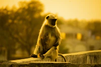 Best Eco-Friendly Resorts and Sustainable Stays in Amravati