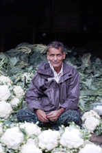 A farmer consulting with an agricultural expert in a cauliflower field.