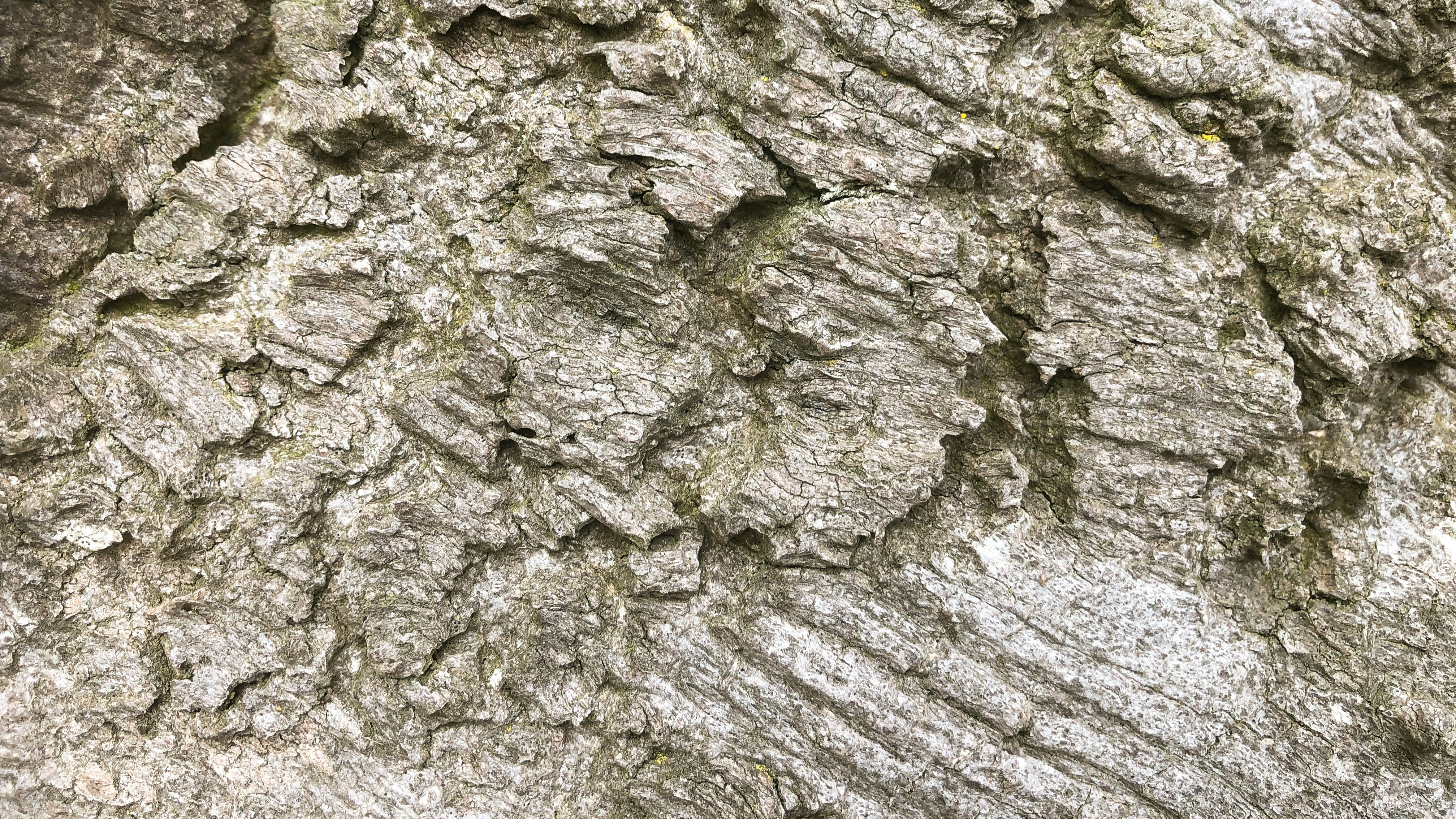 Photo by wimvanteinde