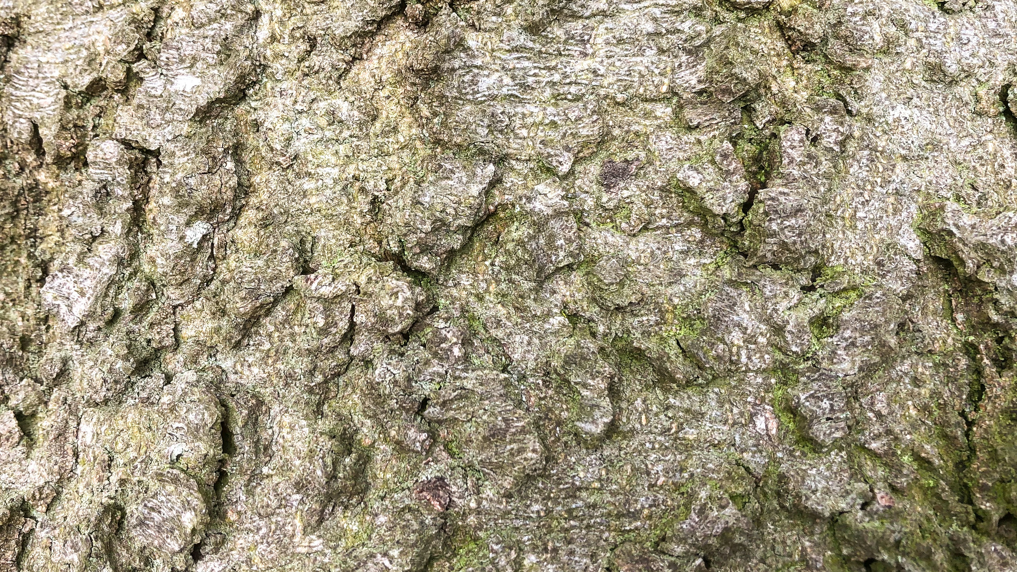 Photo by wimvanteinde