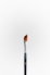 black and brown makeup brush