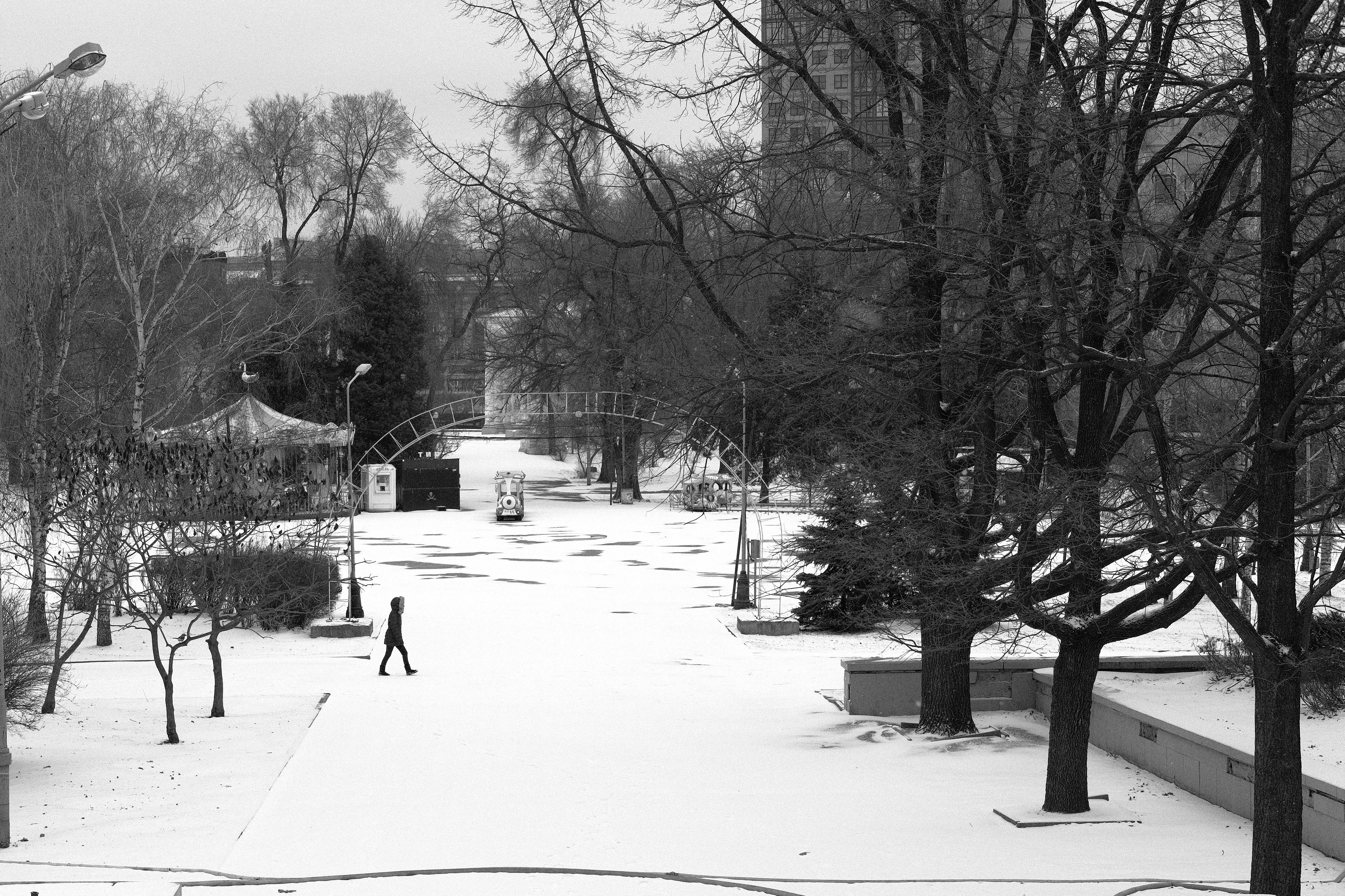 person walking on snow covered pathway near bare trees during daytime