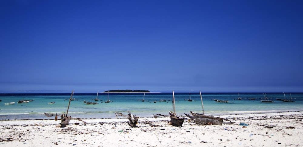 people on beach during daytime