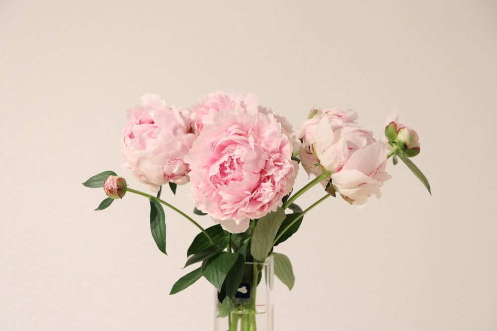 pink roses in clear glass vase