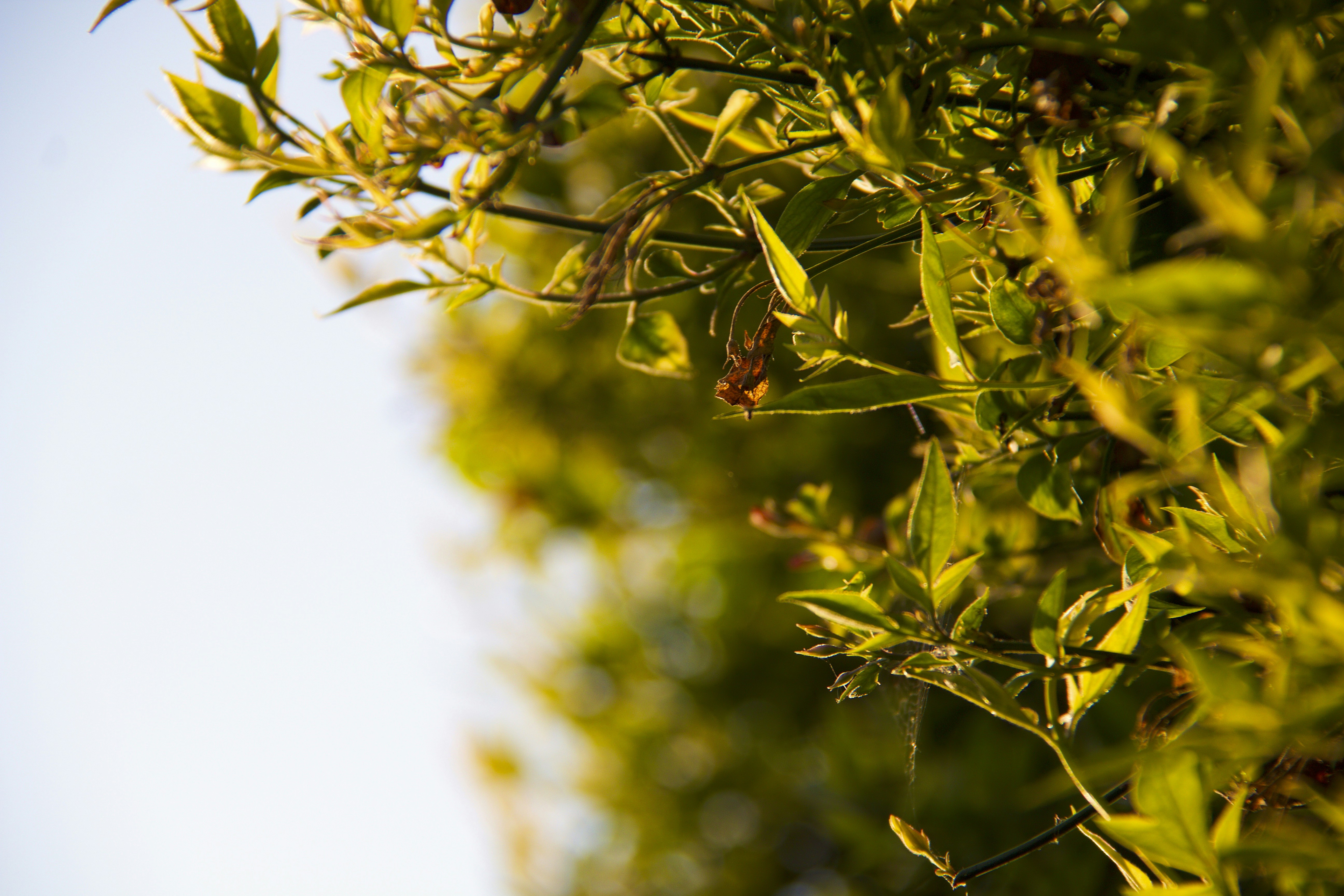 Photo by davidbridle