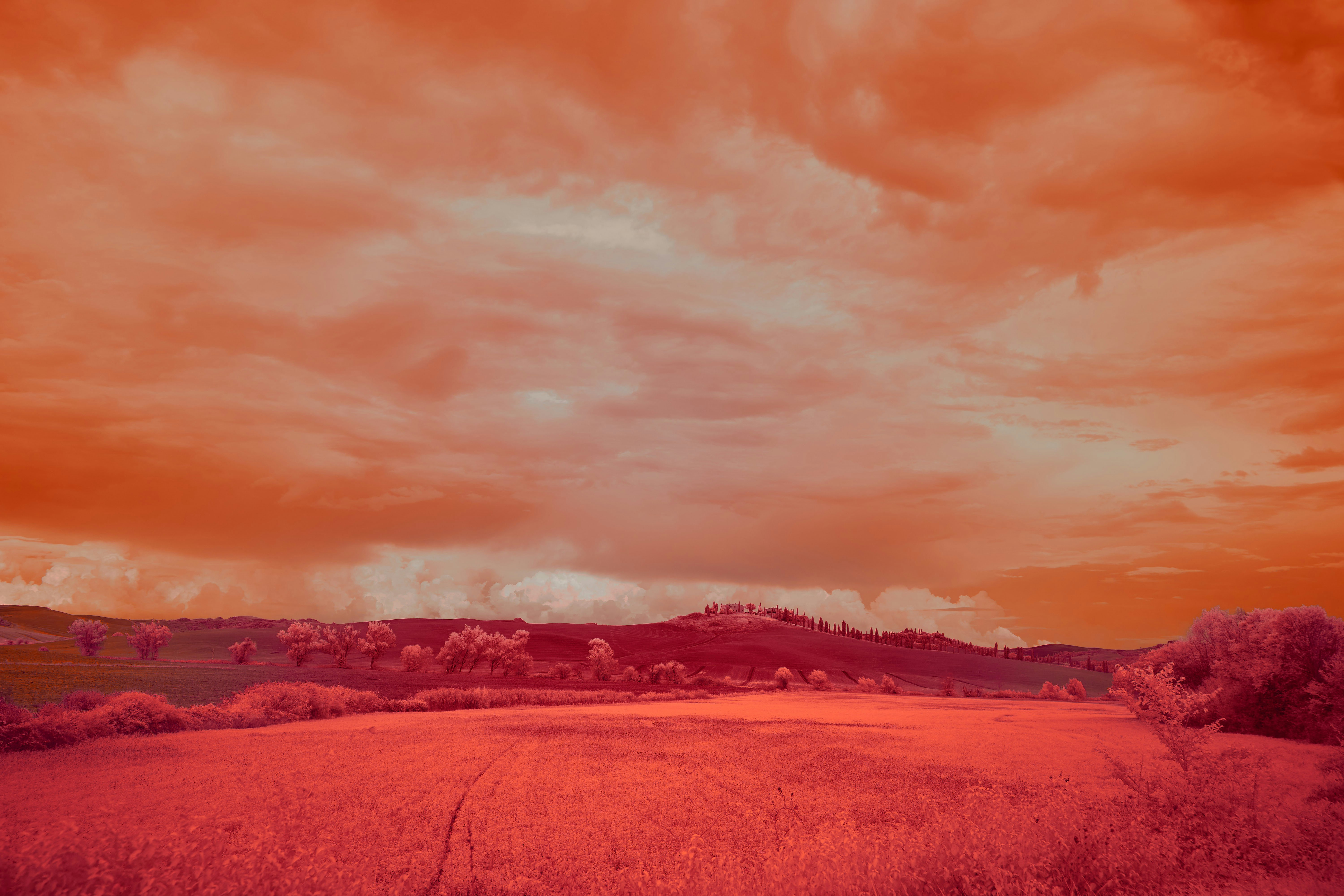 Photo by wolfgang_hasselmann