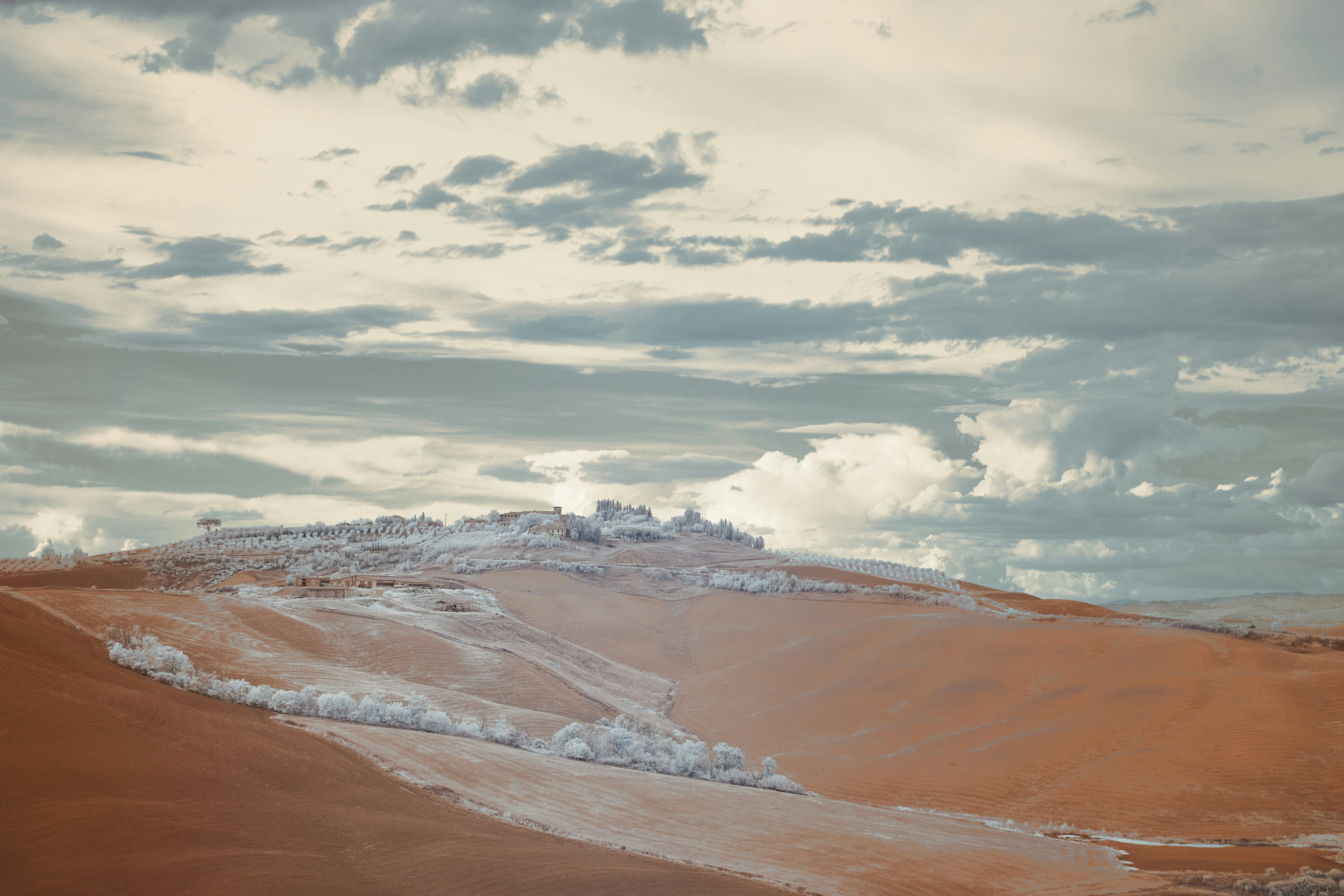 Photo by wolfgang_hasselmann