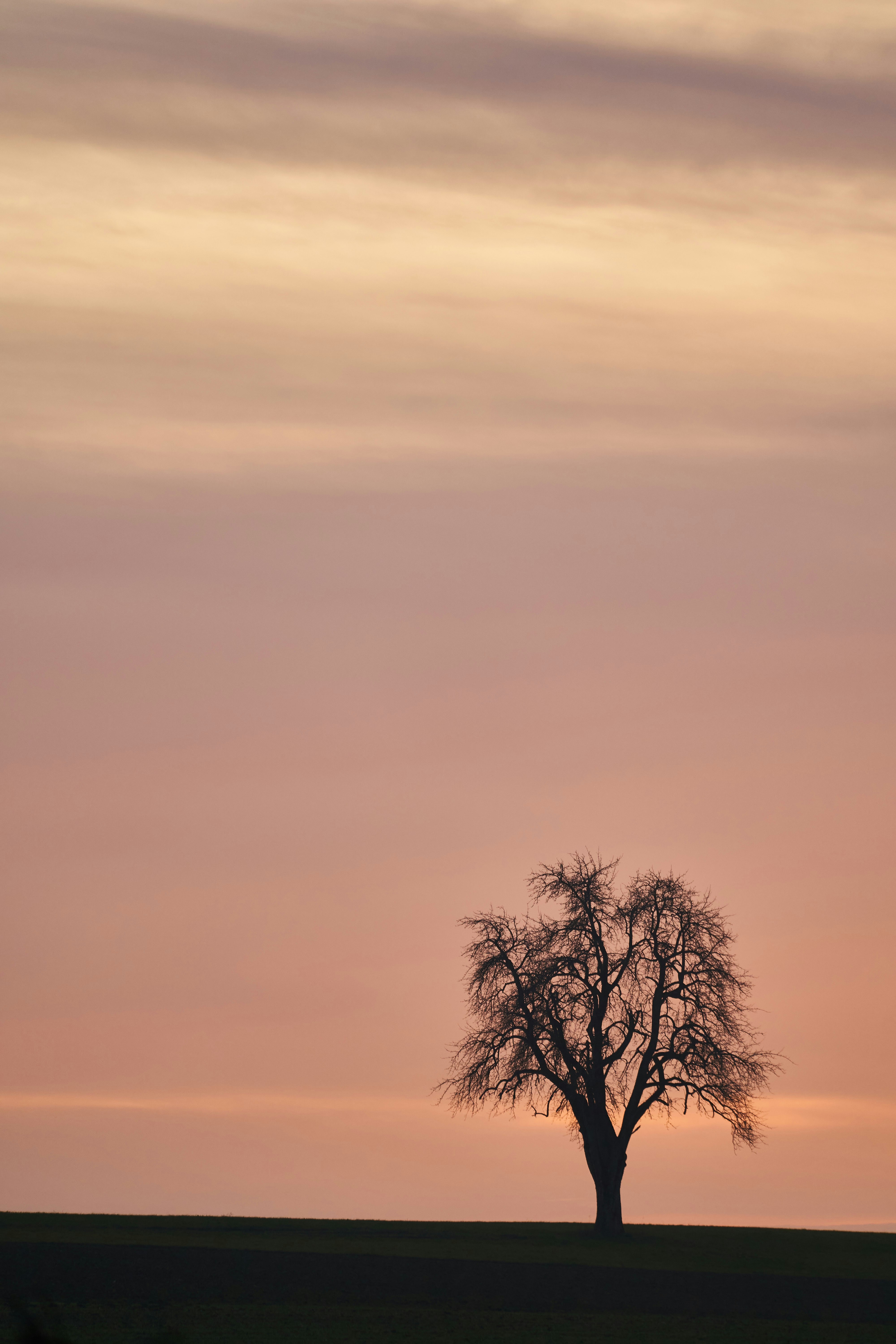 Photo by wolfgang_hasselmann