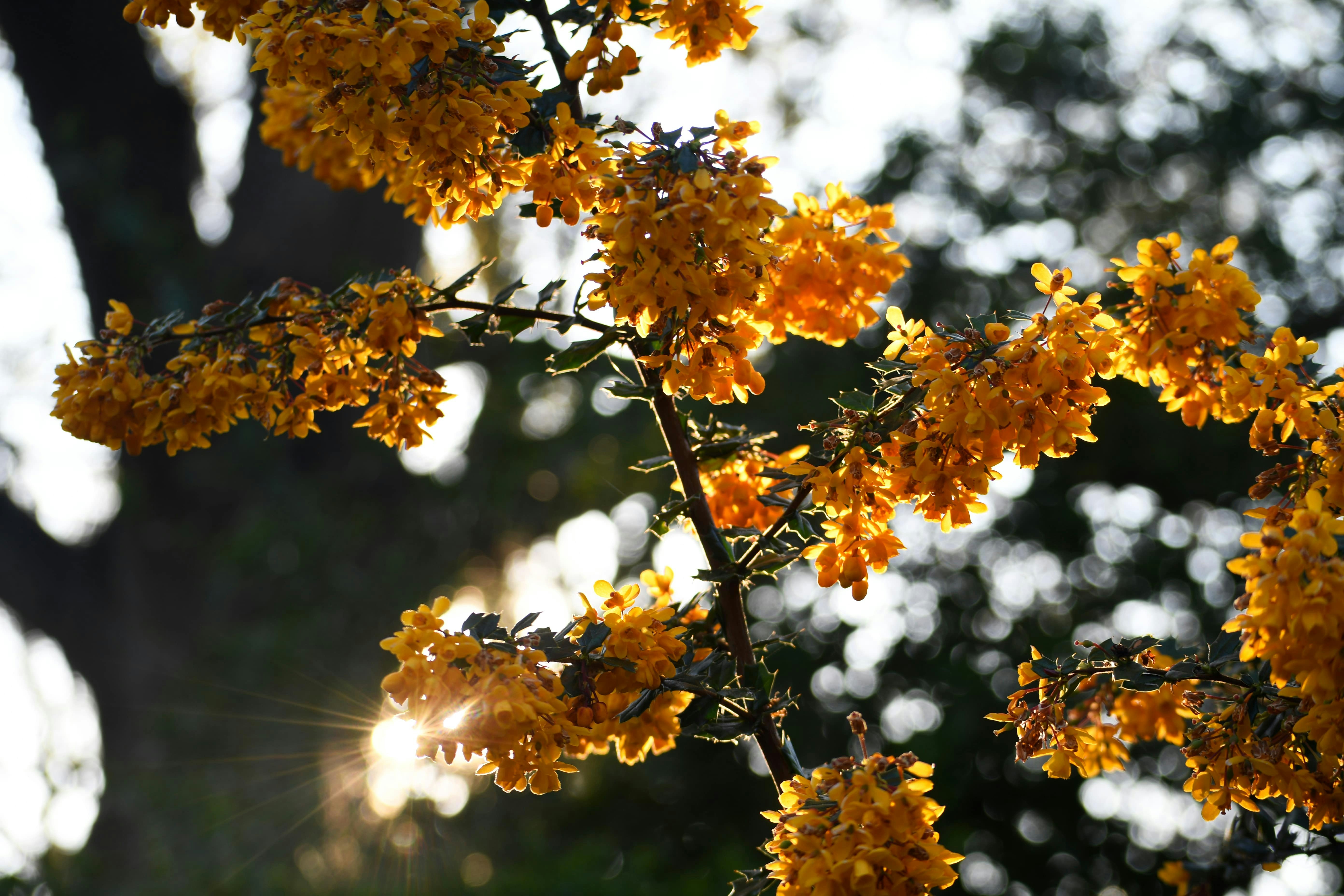 Photo by izzymar