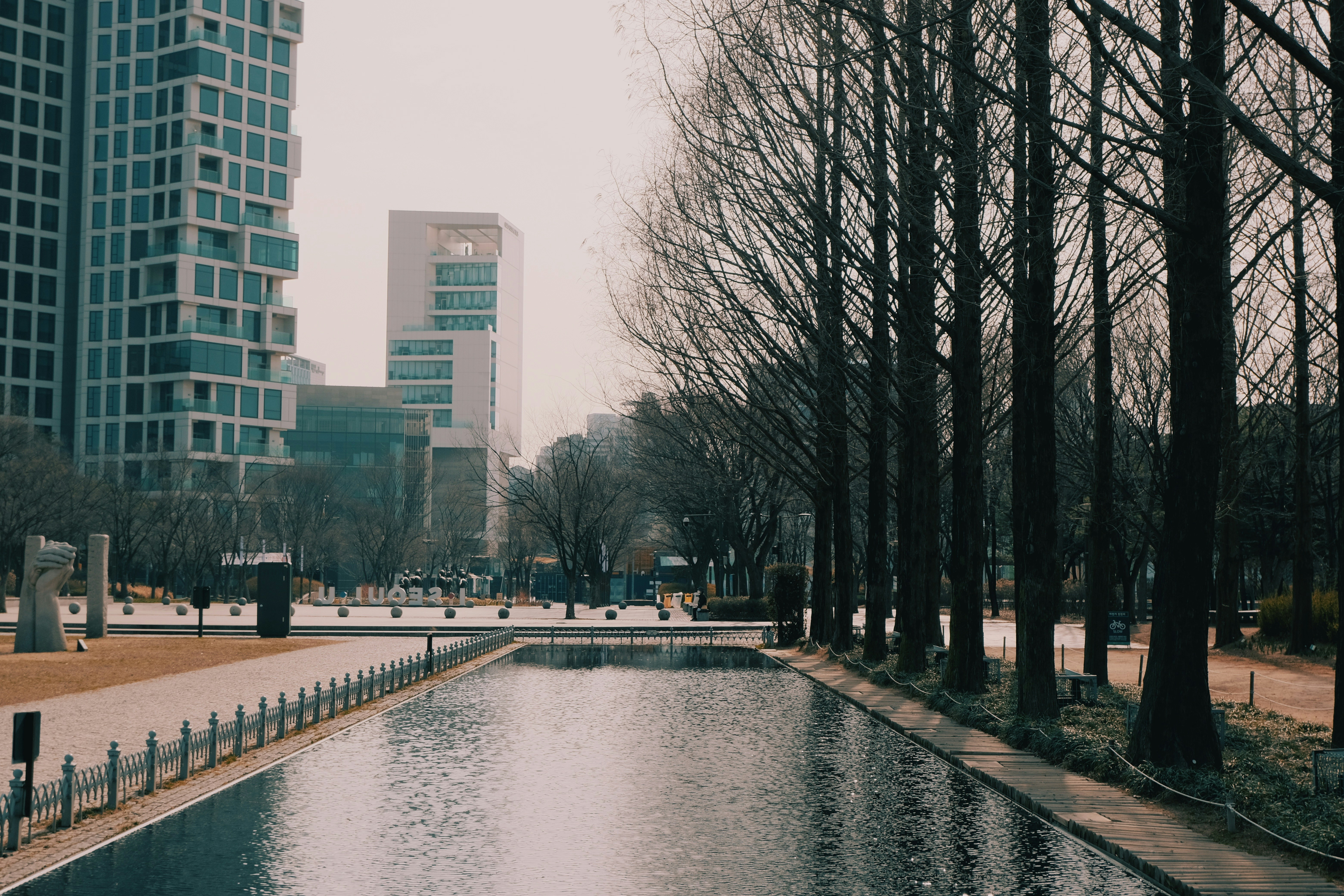 árboles desnudos cerca del cuerpo de agua durante el día