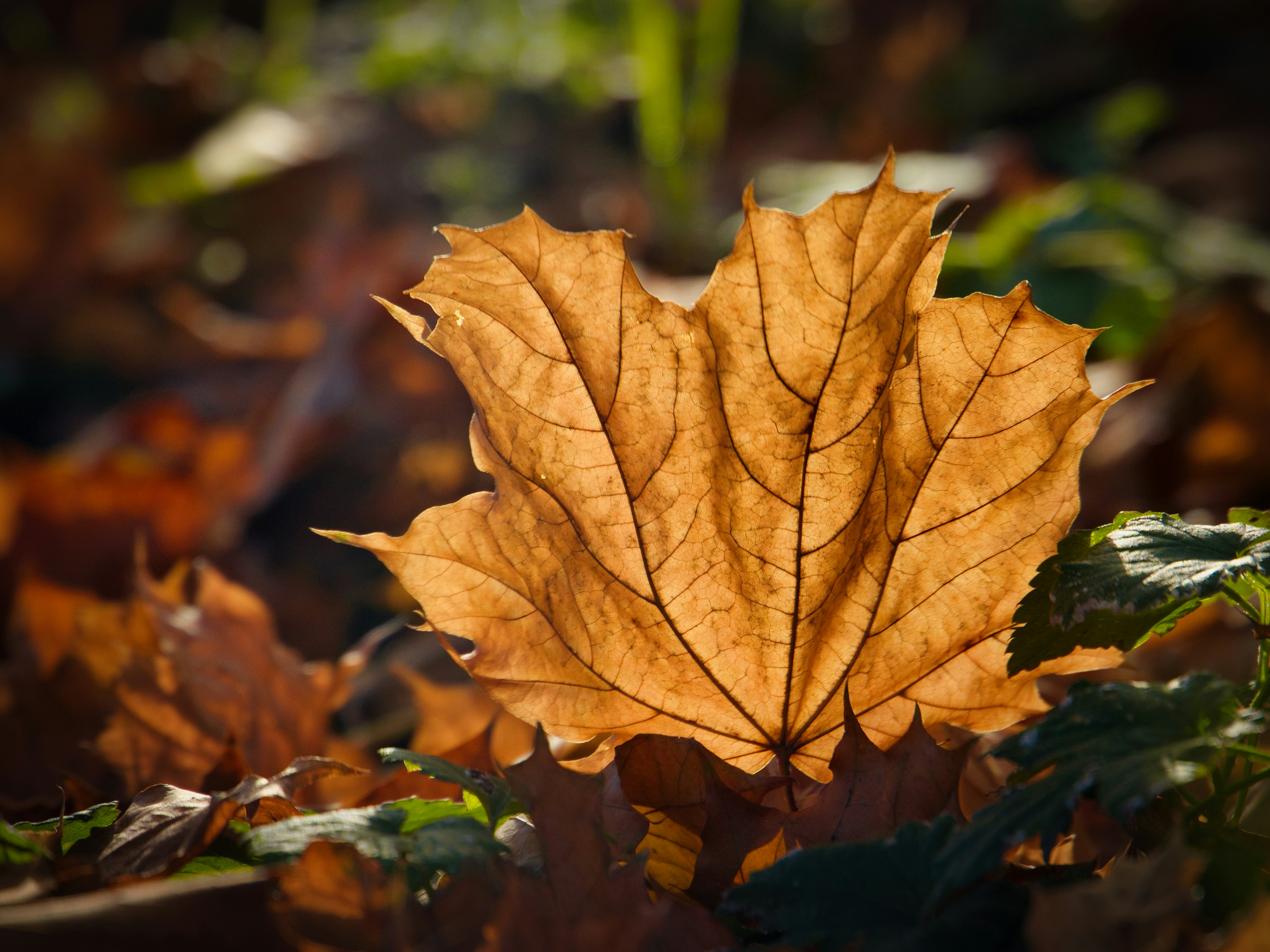 Photo by opernfan17x