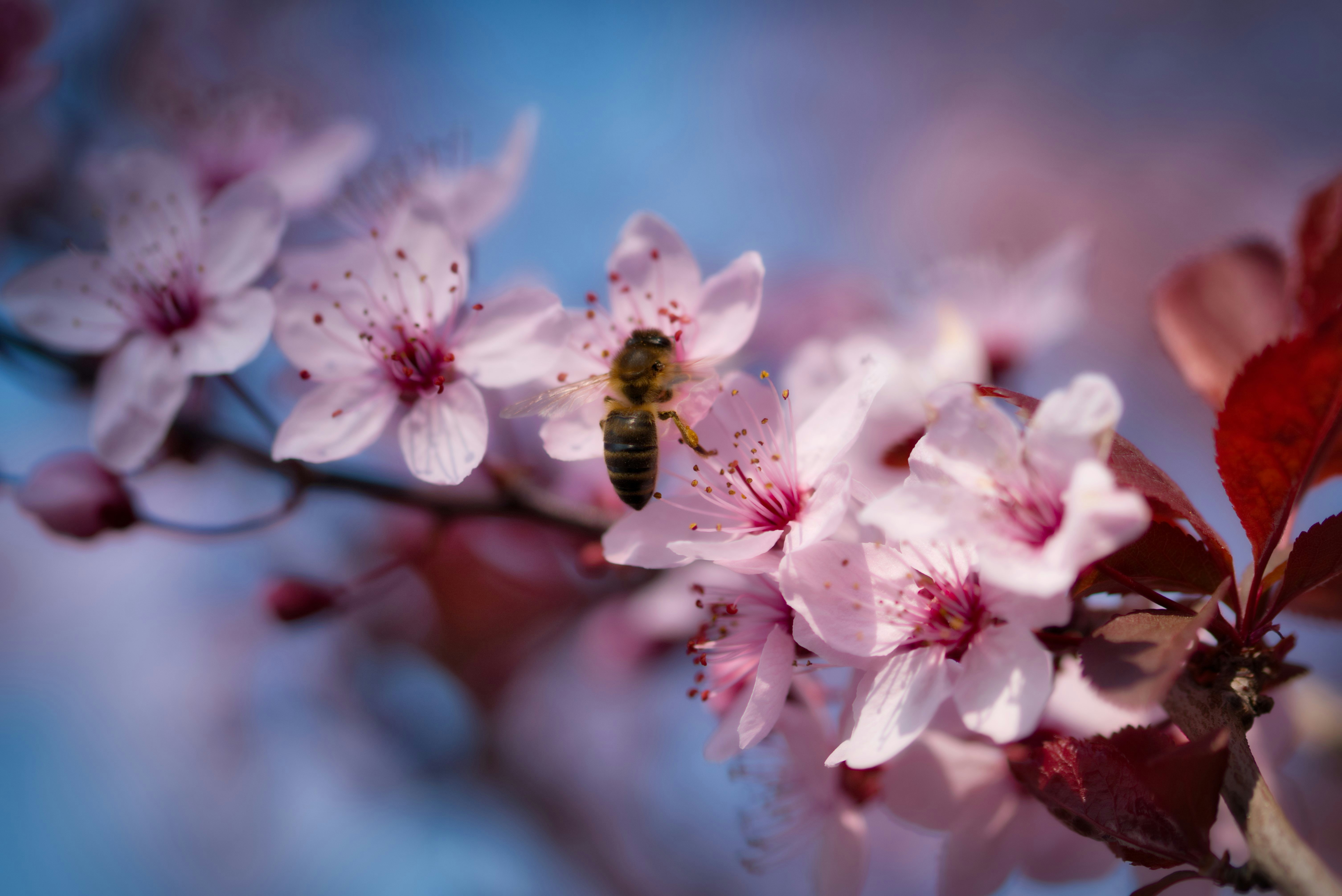 Photo by opernfan17x