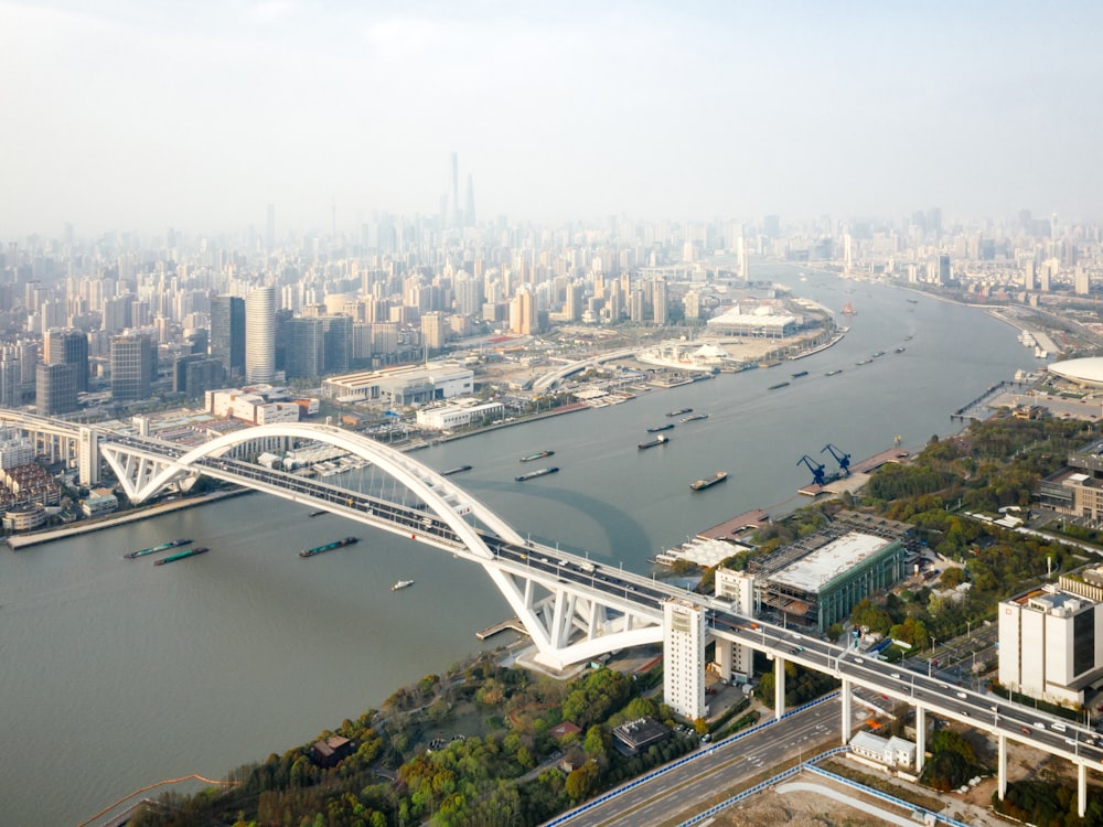 aerial view of city buildings near body of water during daytime