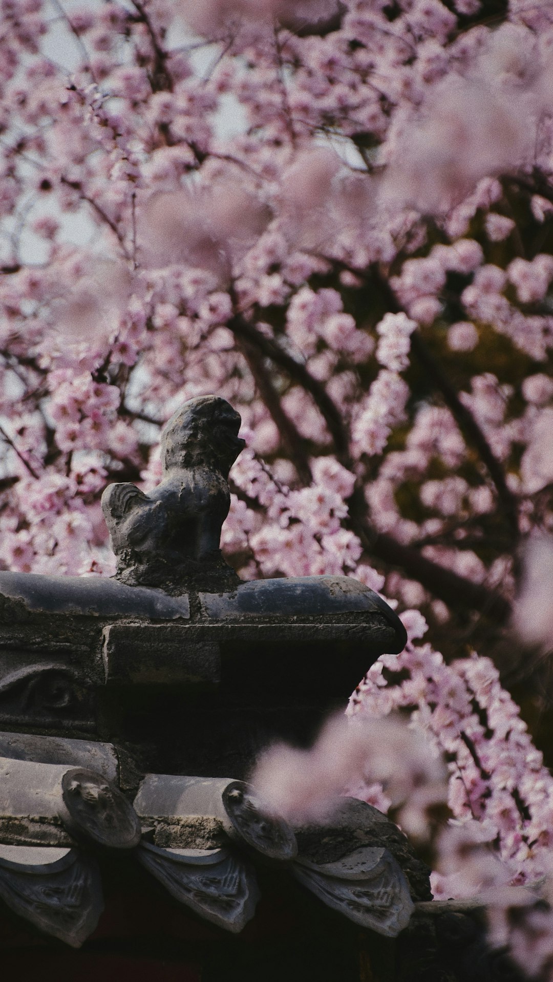 black statue of a man