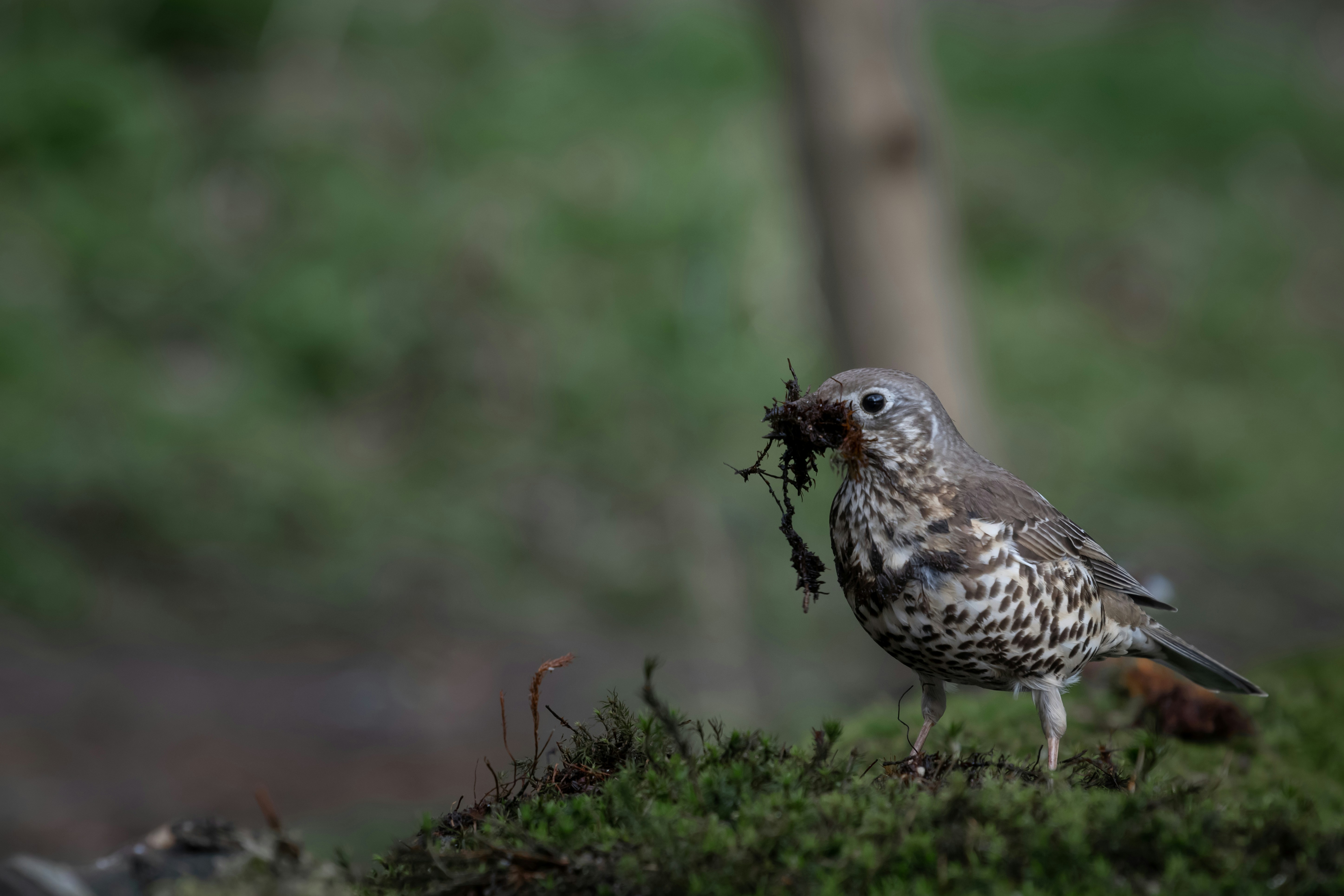 Photo by vincentvanzalinge