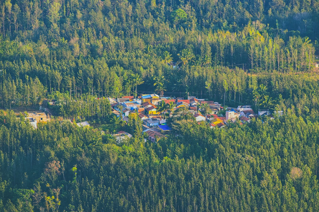 aerial view of houses and trees during daytime