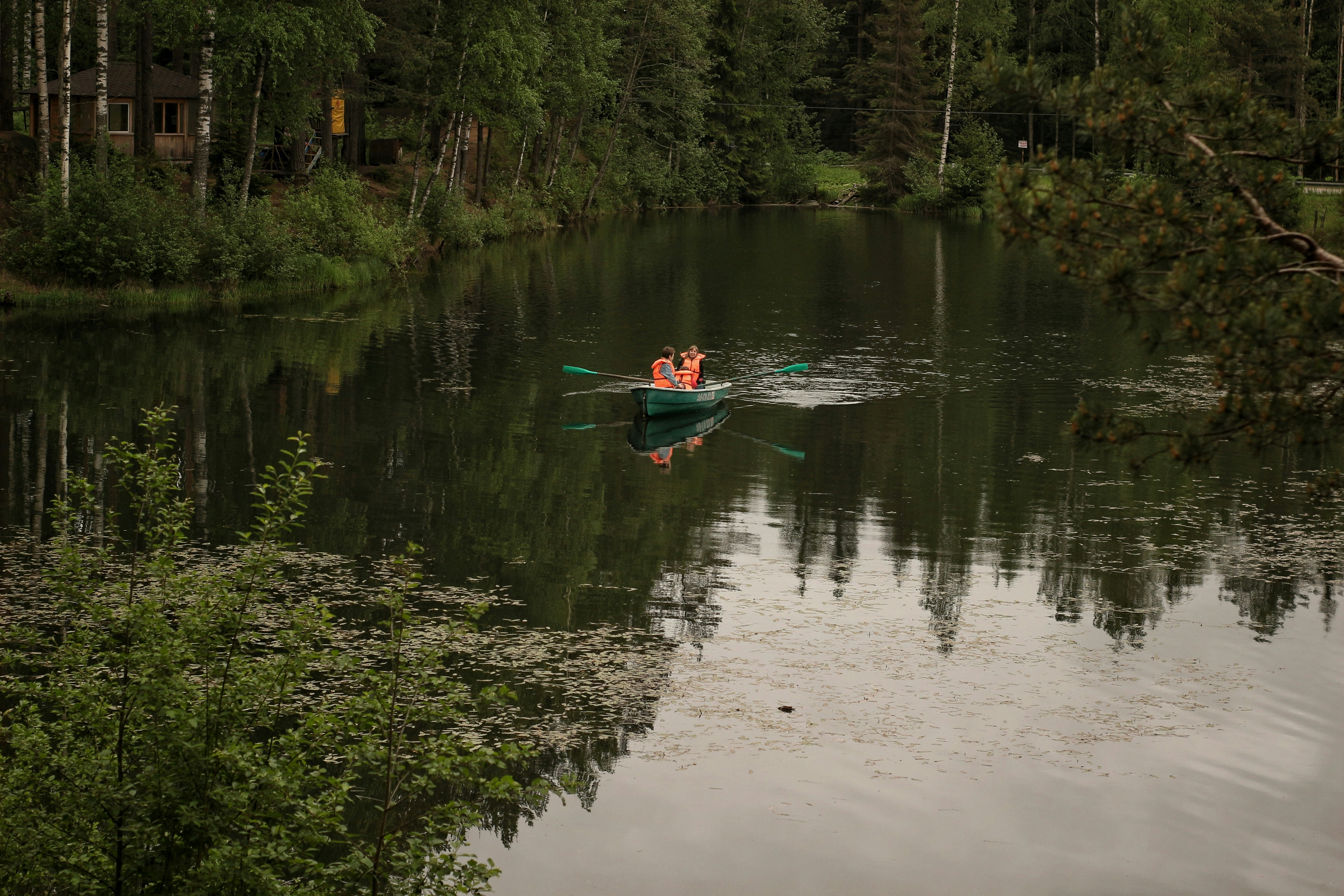 Photo by _ptichkasinichka_