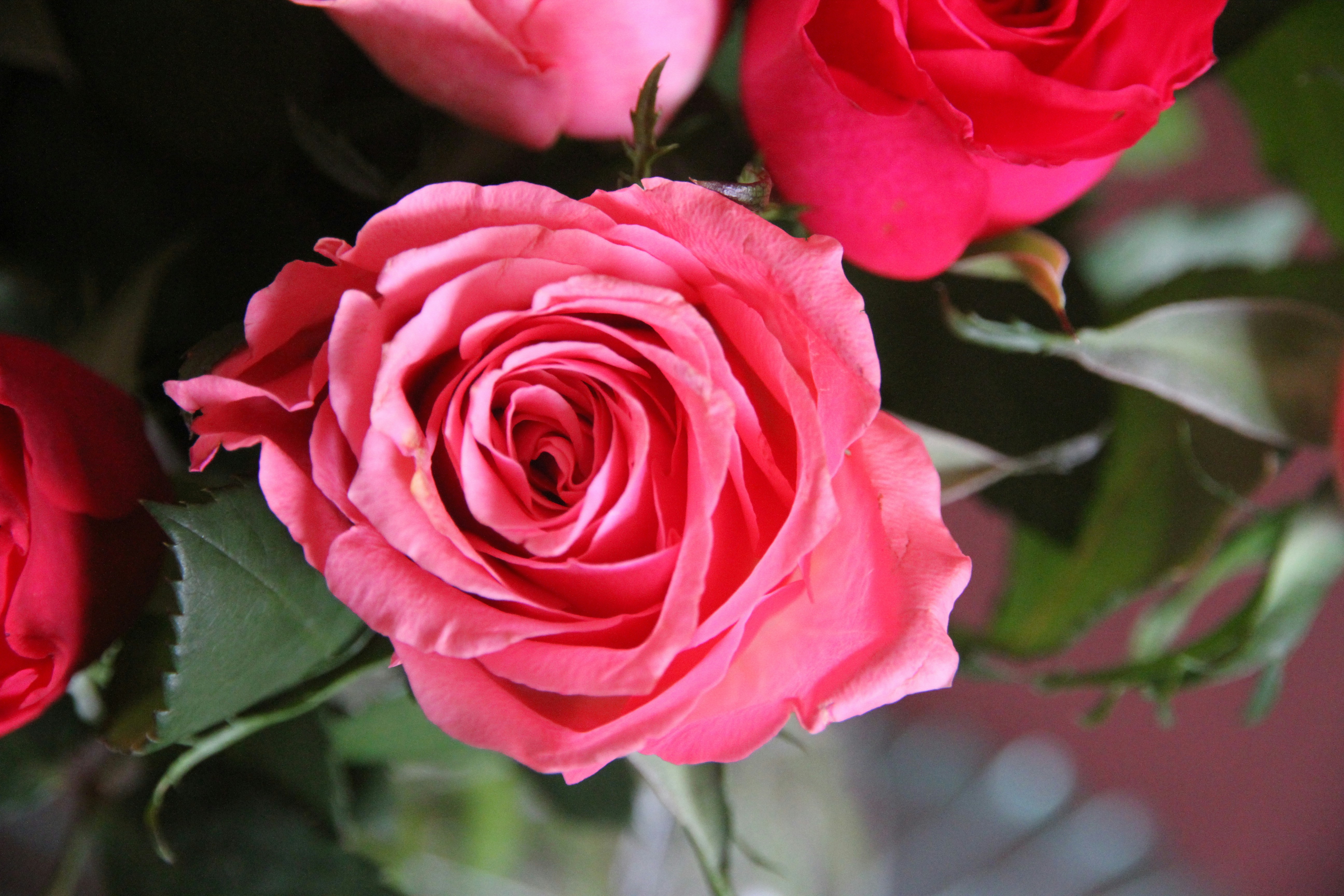 Photo by jay_kettle_williams