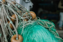 A close-up of a fishing net with brown floats attached. The net is made of thick green and beige fibers and appears to be coiled or piled up, suggesting it's not currently in use. The background is out of focus, with indistinct dark and blurred forms.