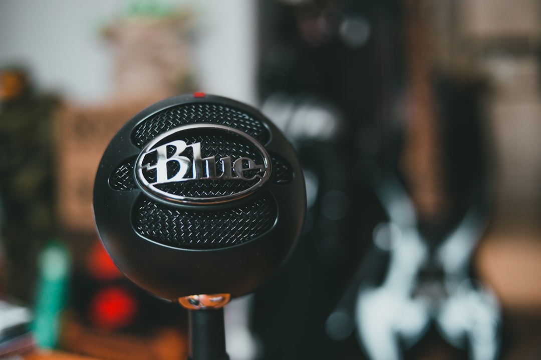black and white round microphone