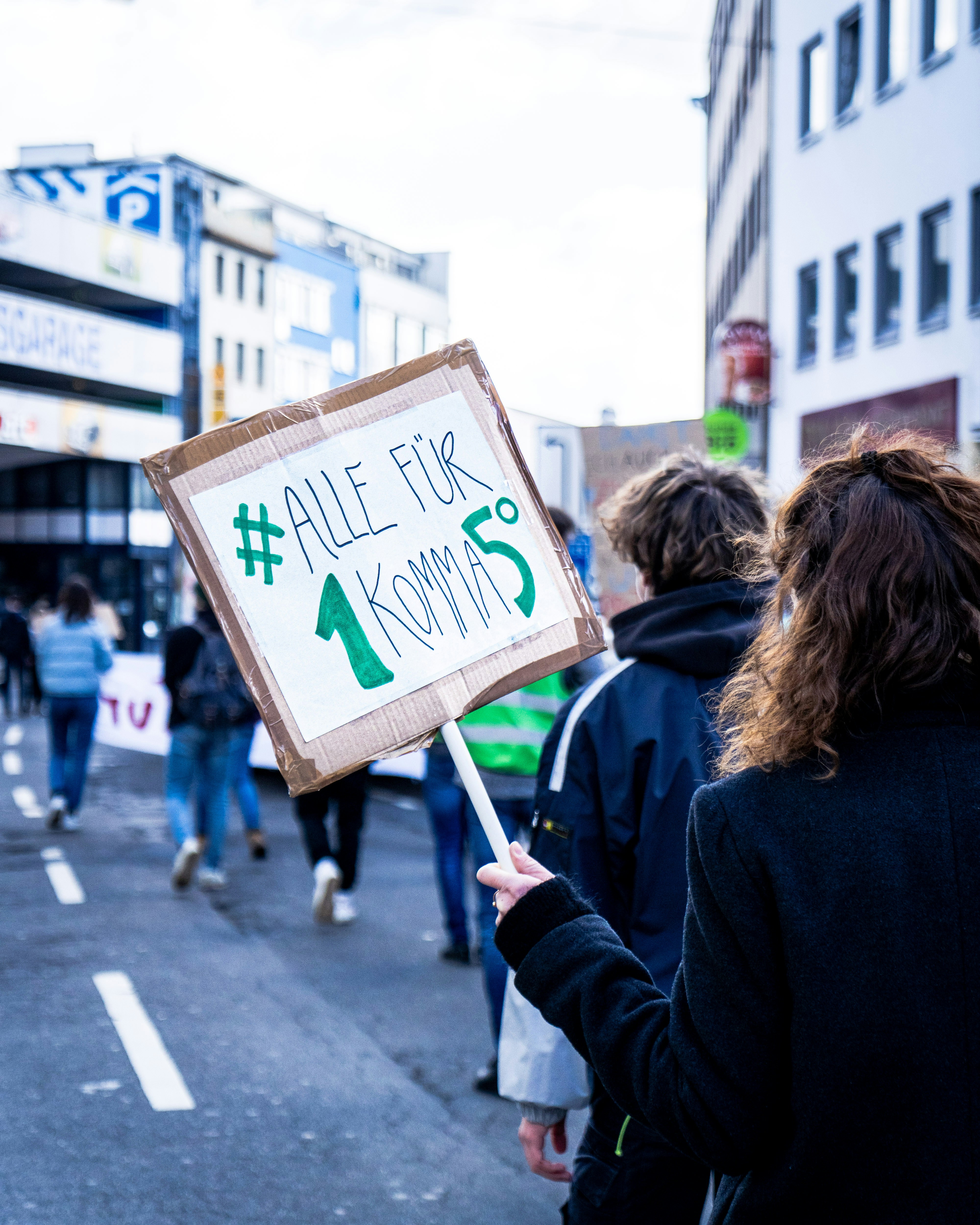 Everyone for 1.5 degrees! - Fridays For Future Bonn, 2021-03-19