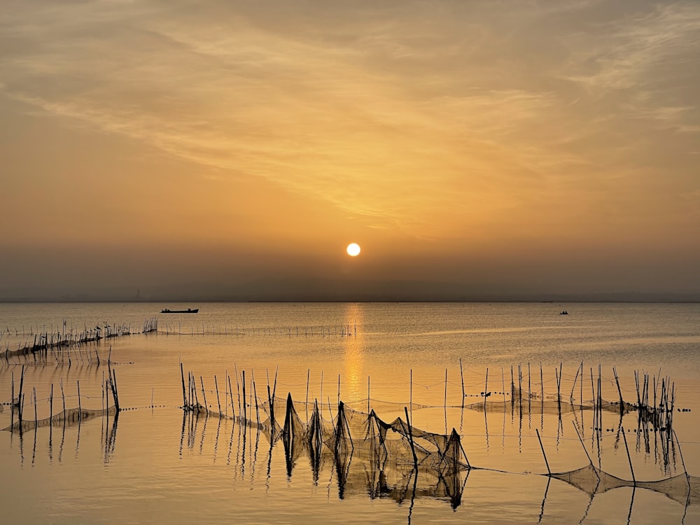 white boats on sea during sunset