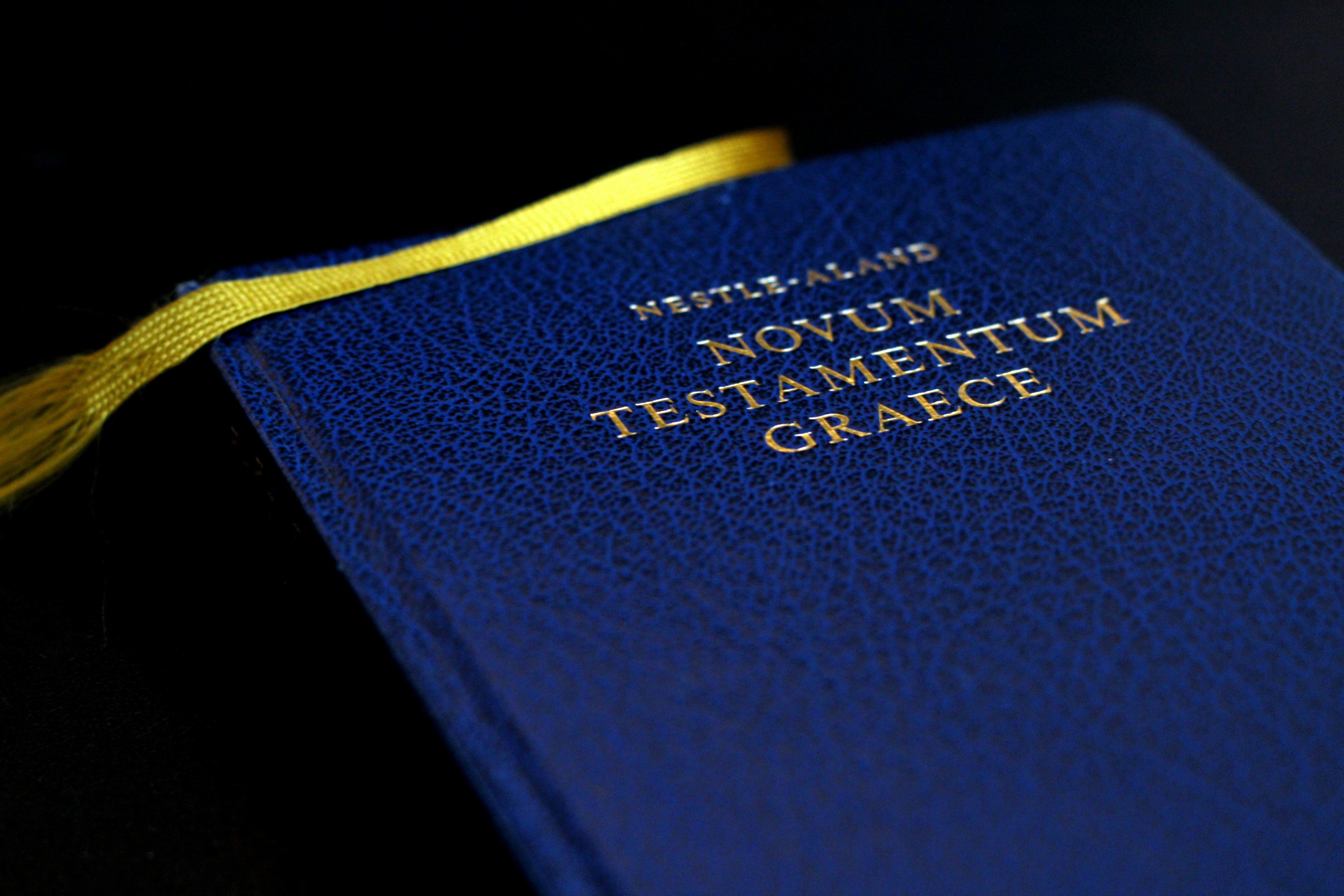 the new york times book