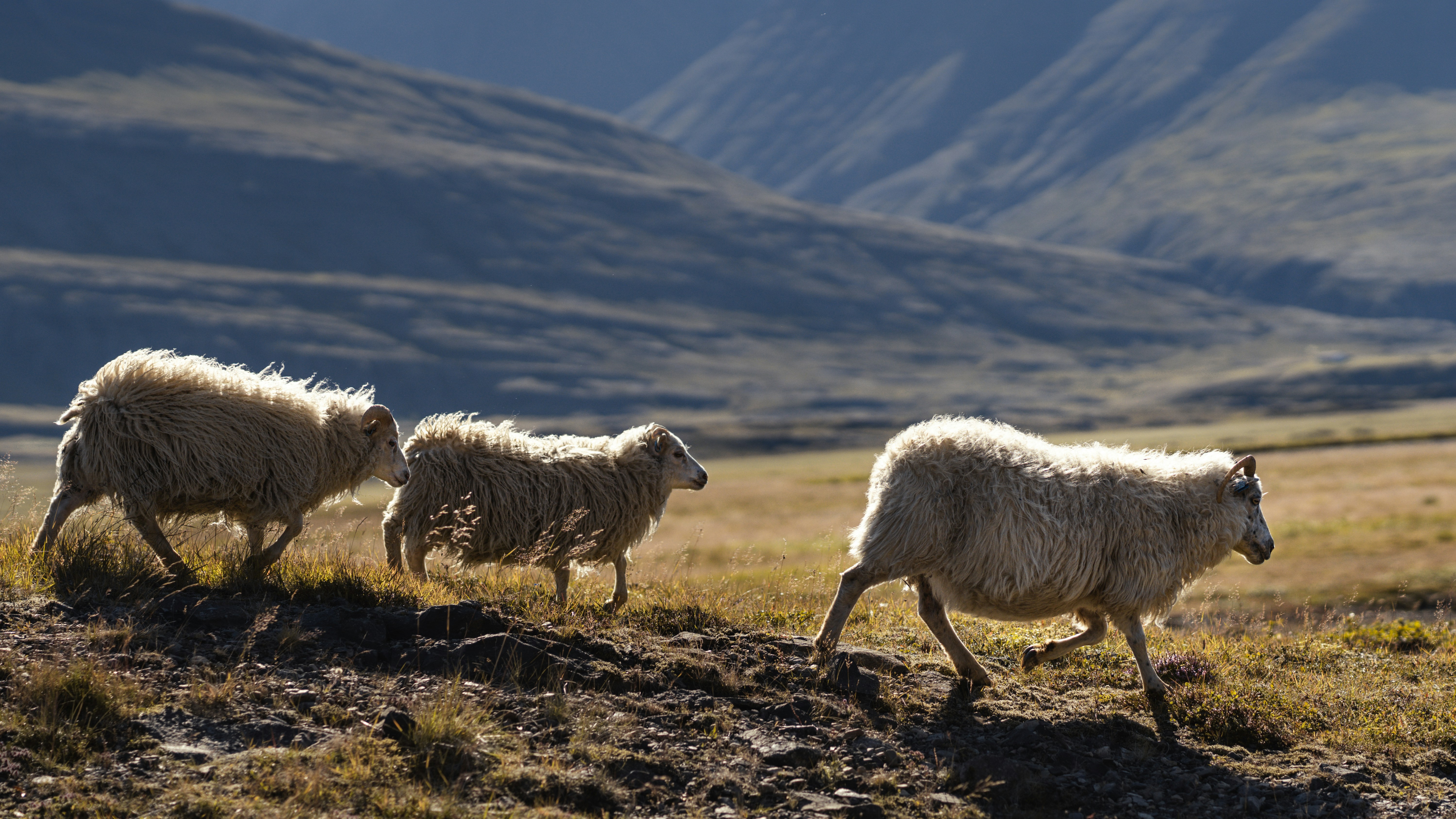 Photo by tetiana_gry