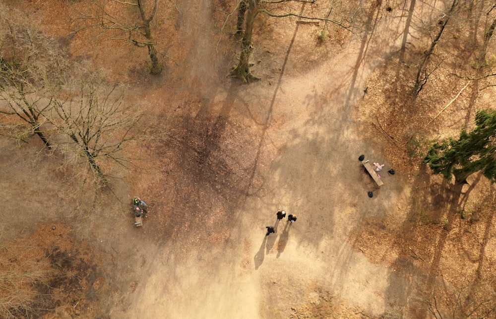 people walking on brown dirt road during daytime