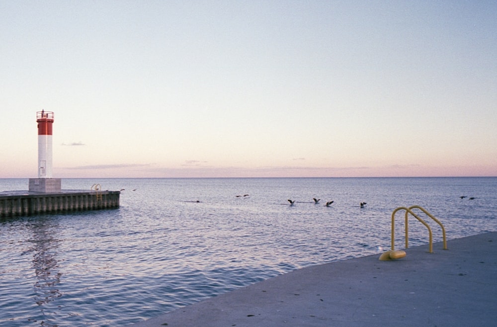 brown wooden dock on sea during daytime