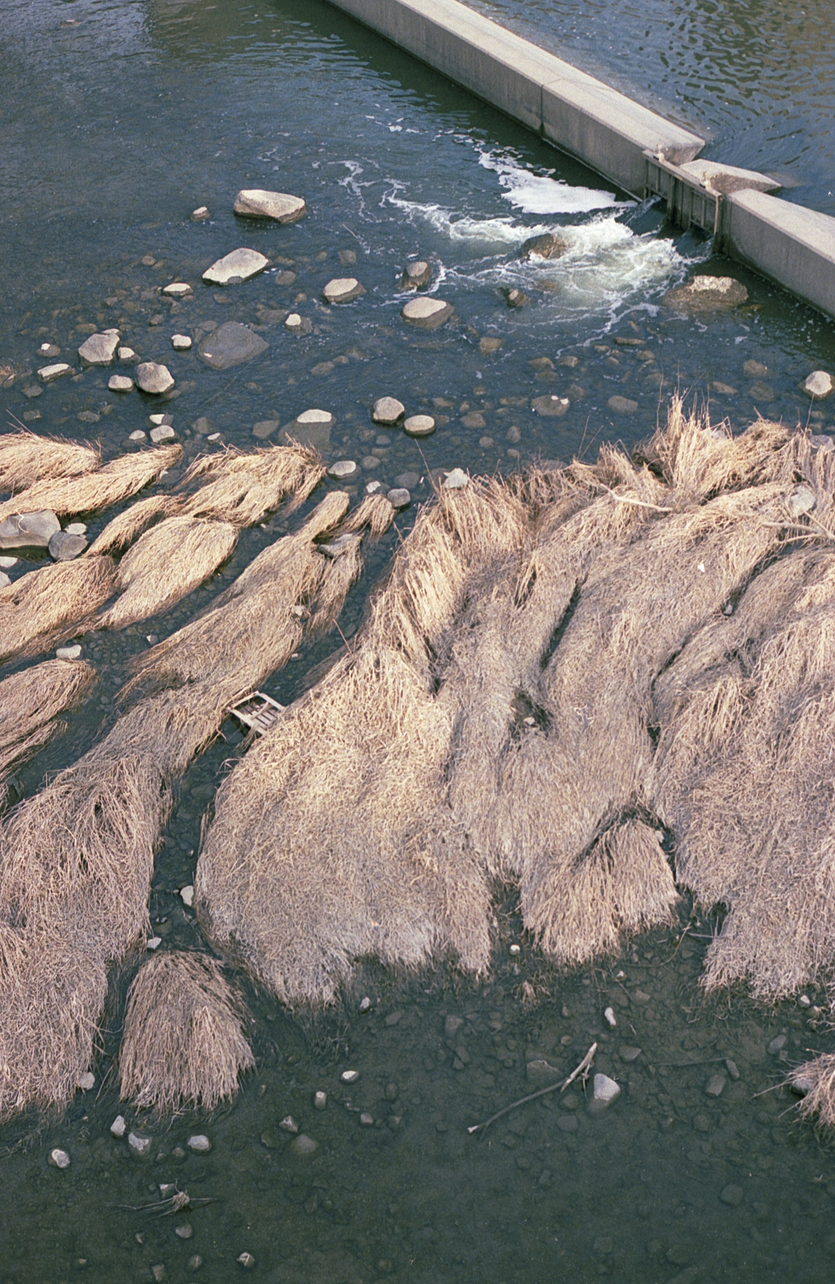 brown and gray rocks on water