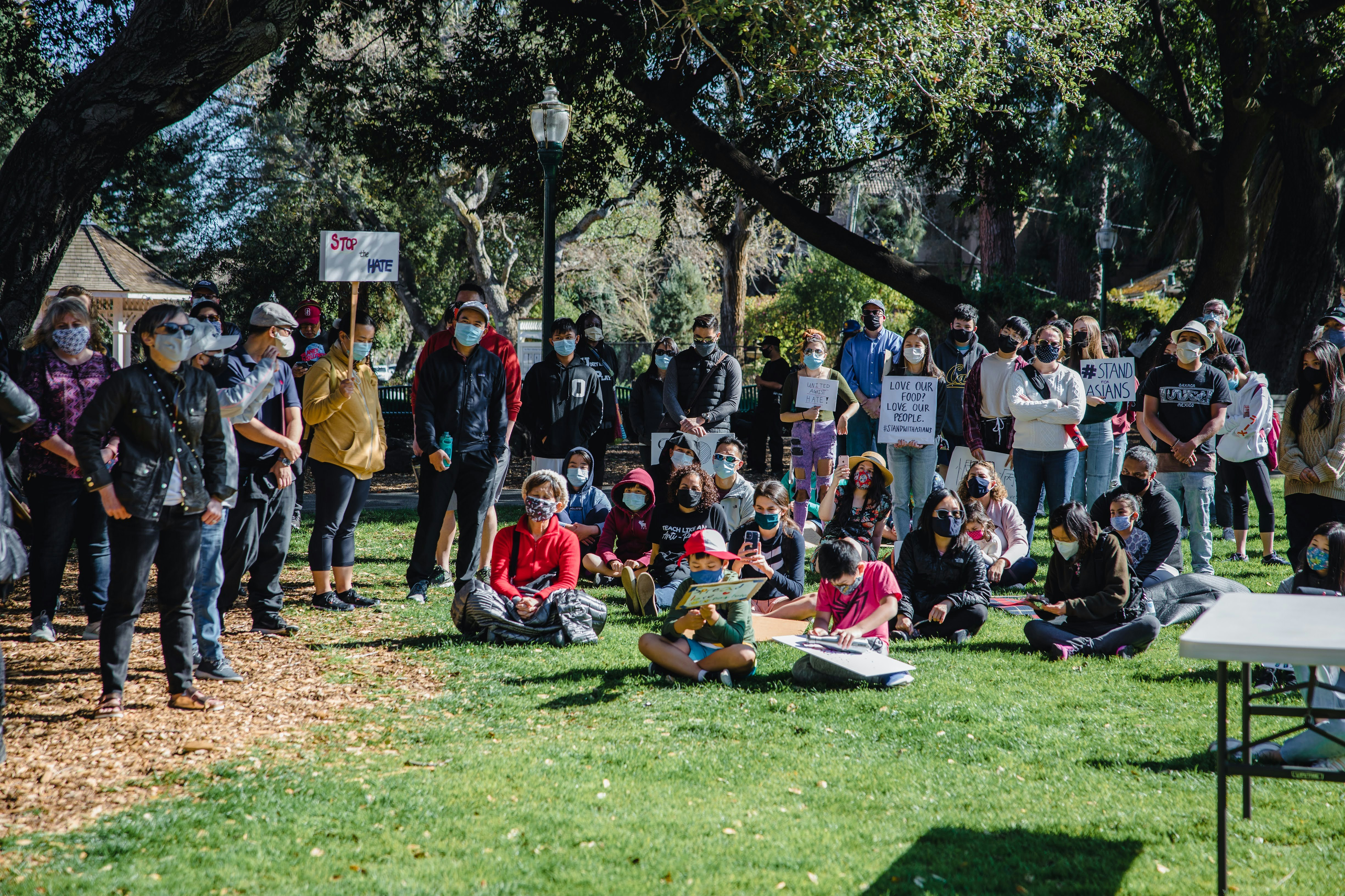 people sitting on green grass field during daytime