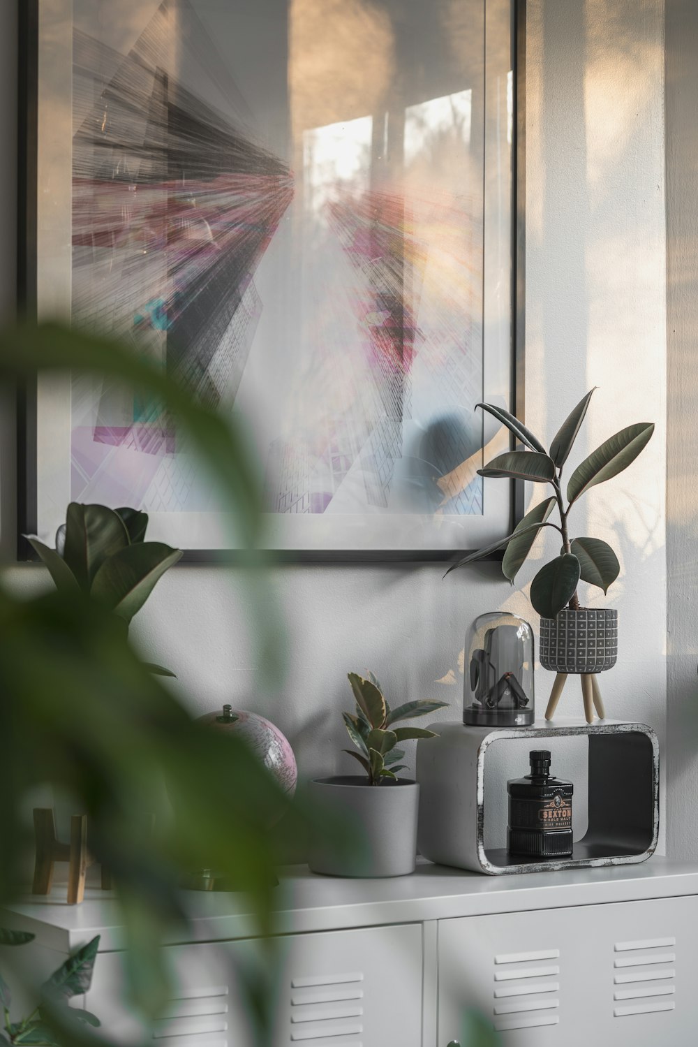 green plant beside window during daytime