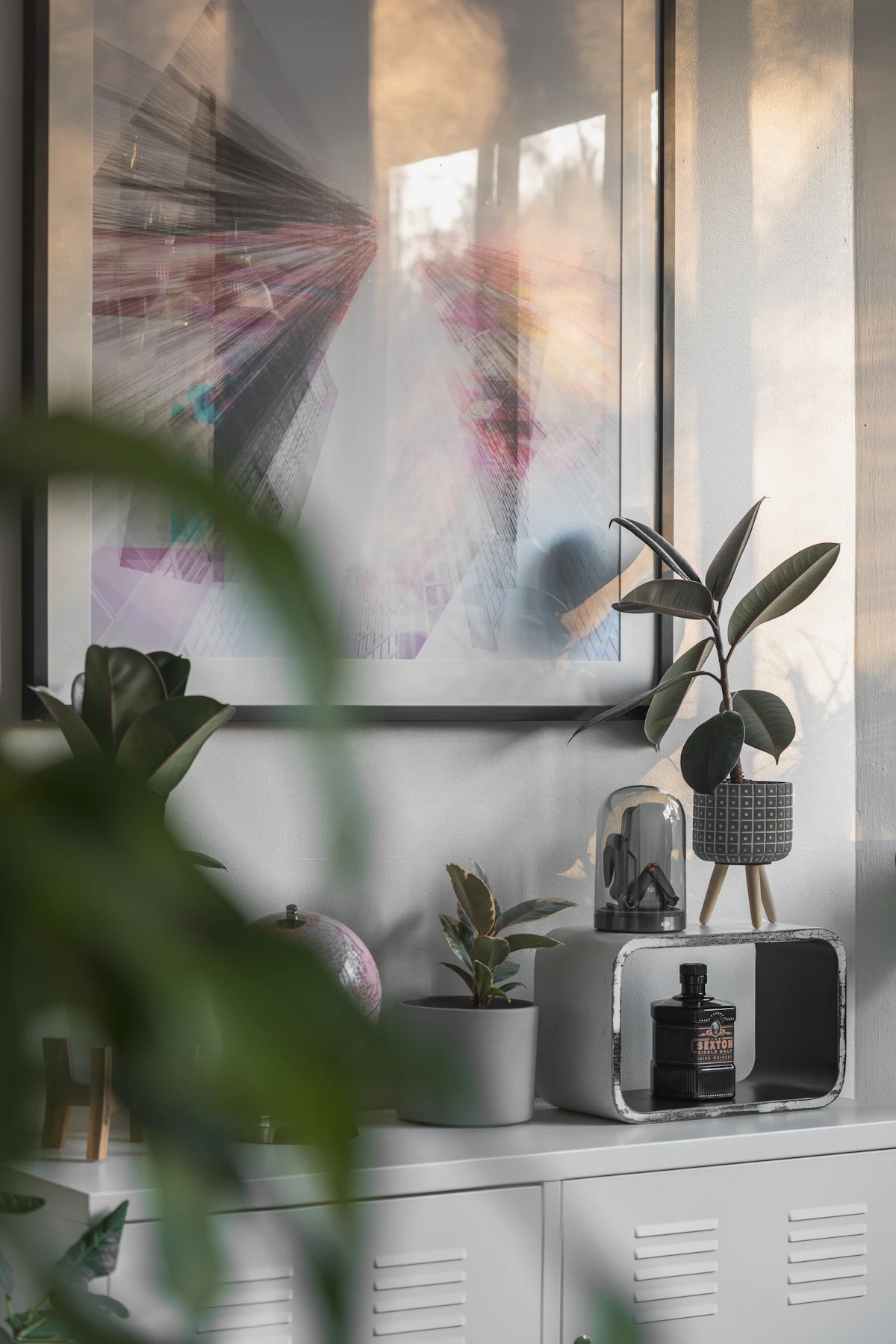 Large green plant positioned near a window in an interior