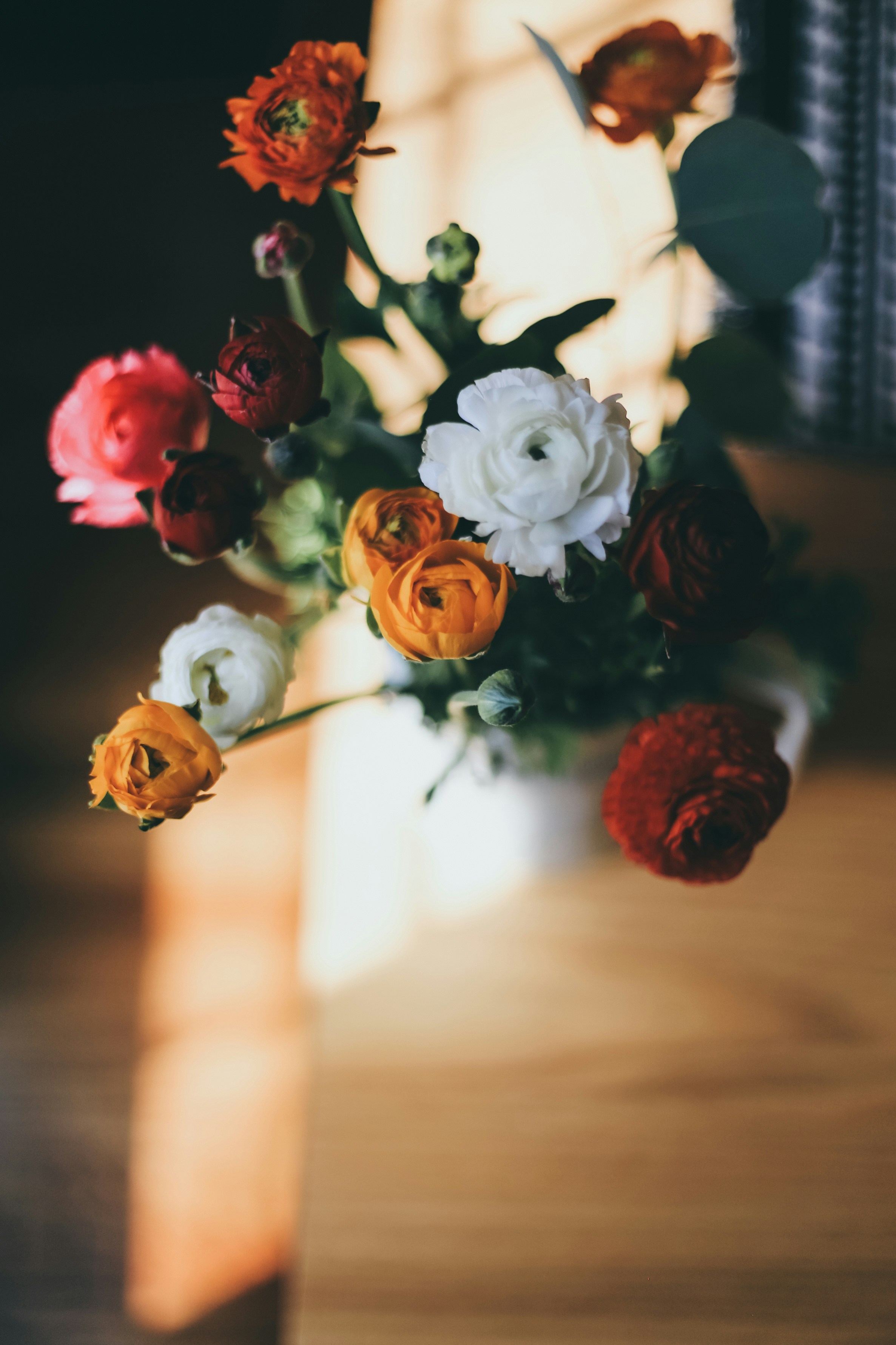 Photo by jessicalfadel