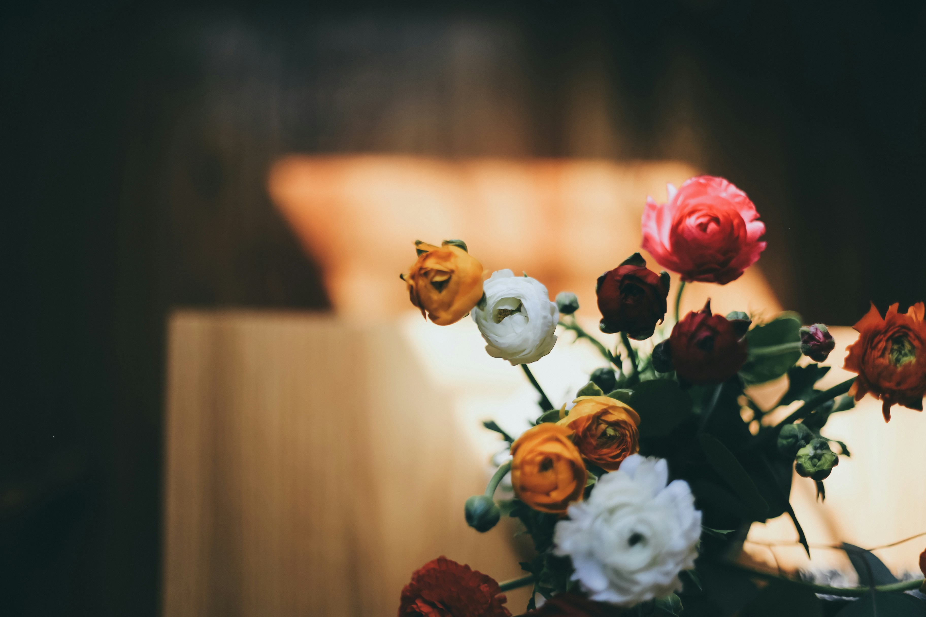 Photo by jessicalfadel