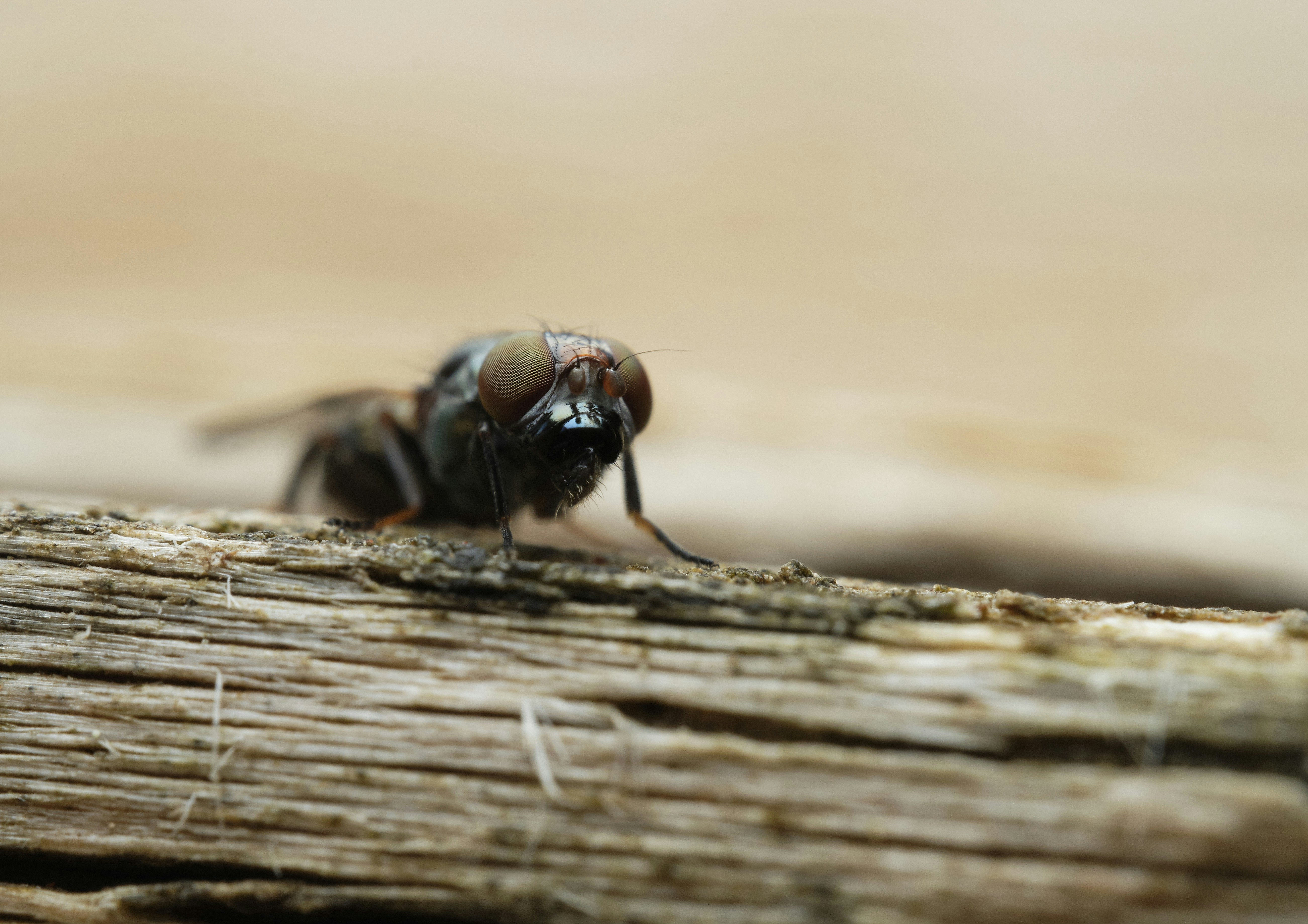 Photo by victor_vector