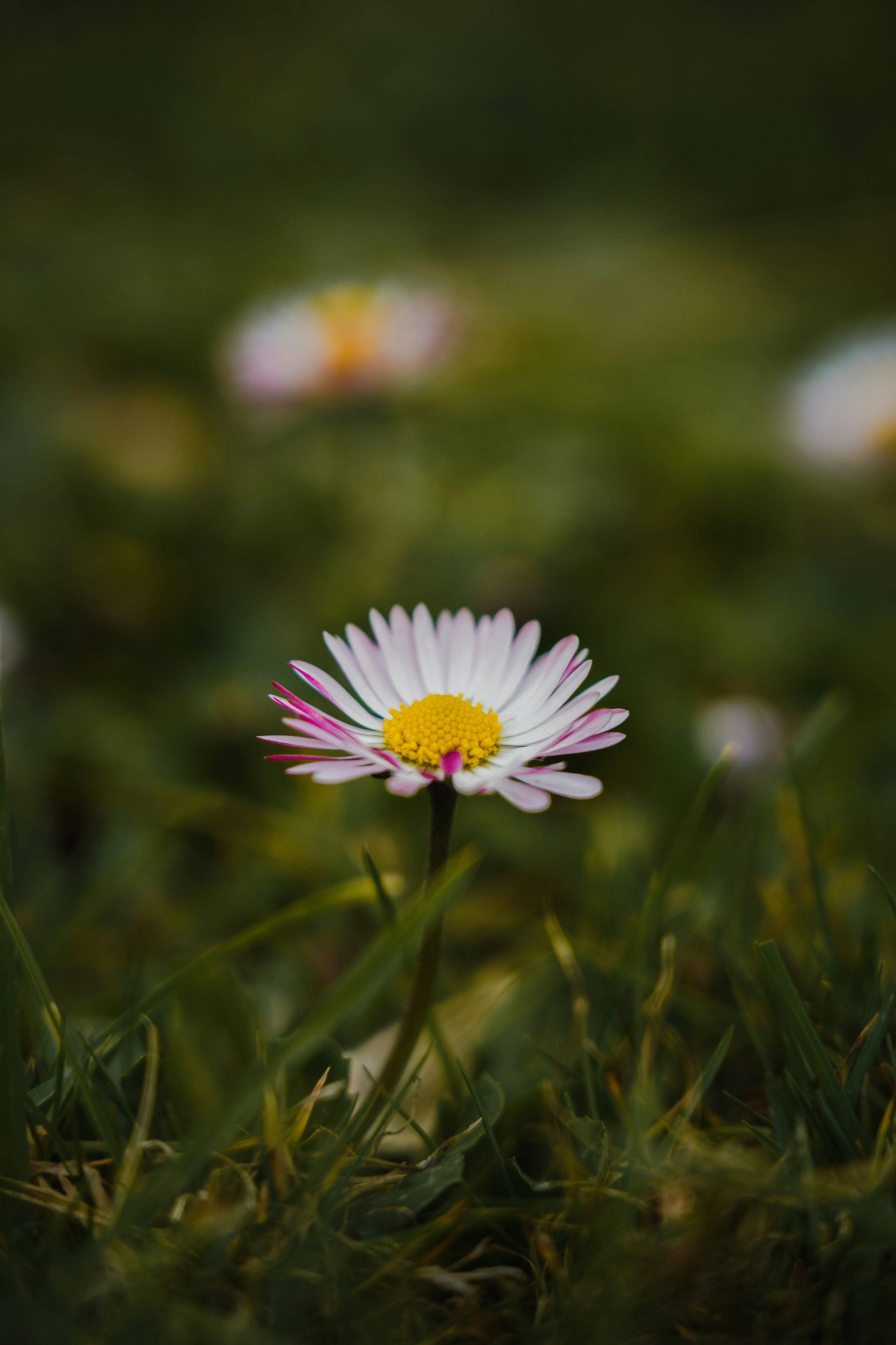 Photo by kiarash_mansouri