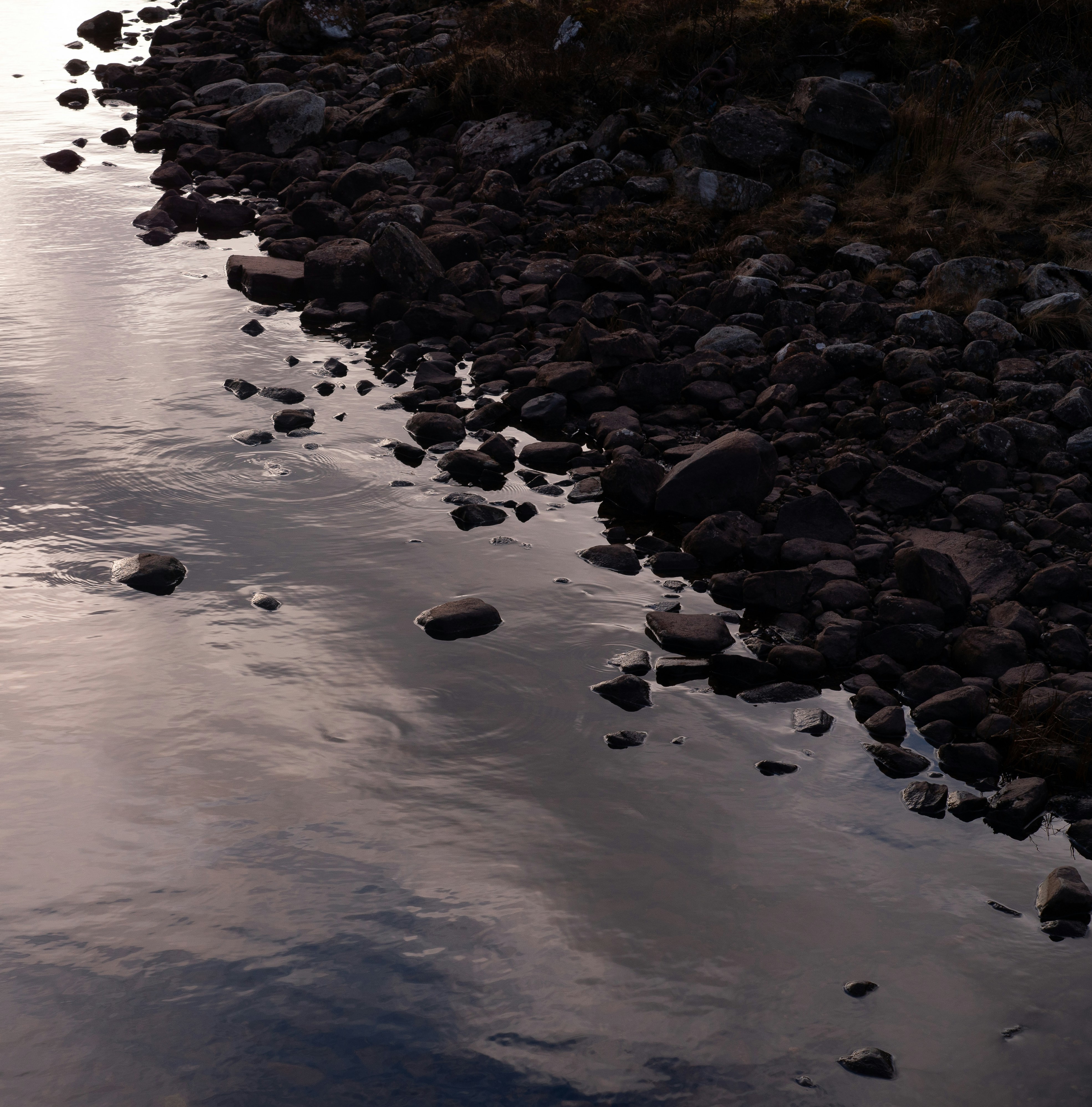 Photo by kallen2396