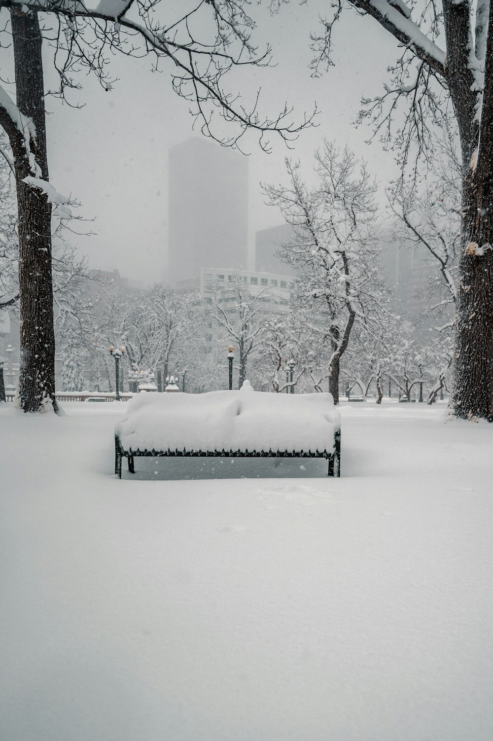 árvores cobertas de neve e construção durante o dia