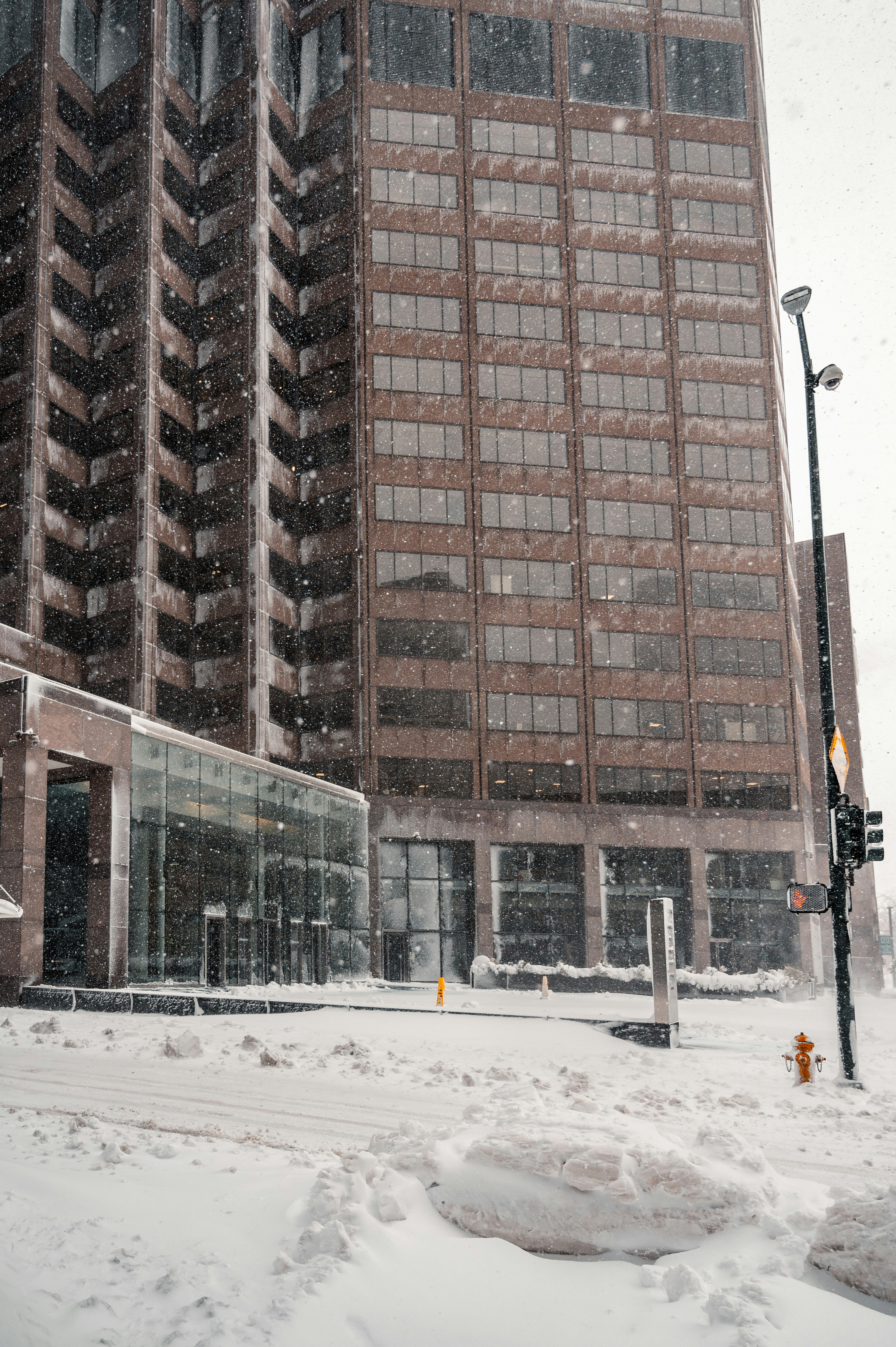 Photo by onthesearchforpineapples