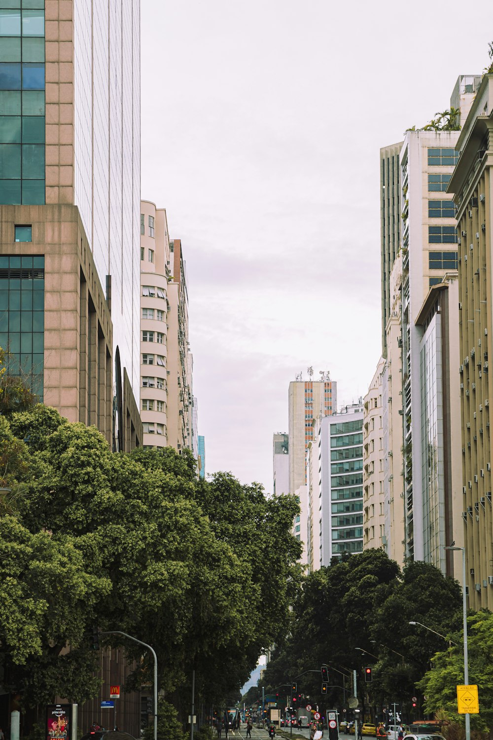 green trees near high rise buildings during daytime