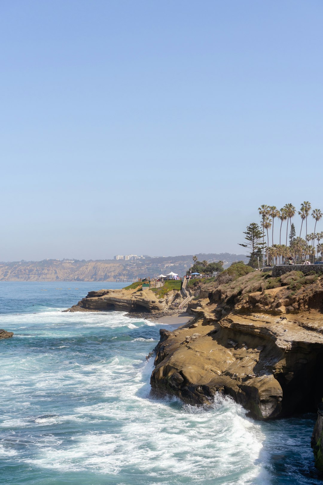 green palm trees on brown rocky shore during daytime