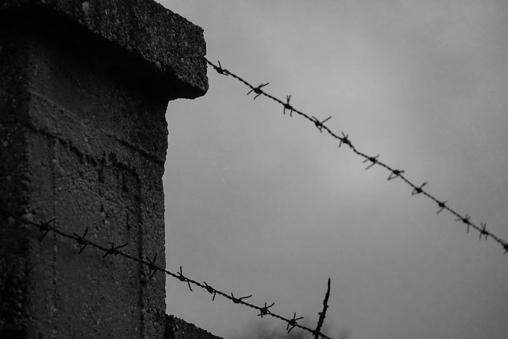 gray scale photo of barbwire