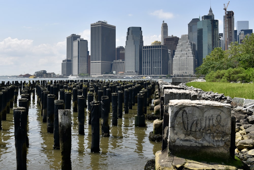 body of water near city buildings during daytime