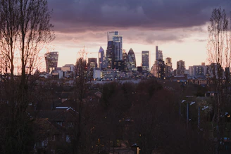 A modern city skyline showcasing commercial buildings at sunset.