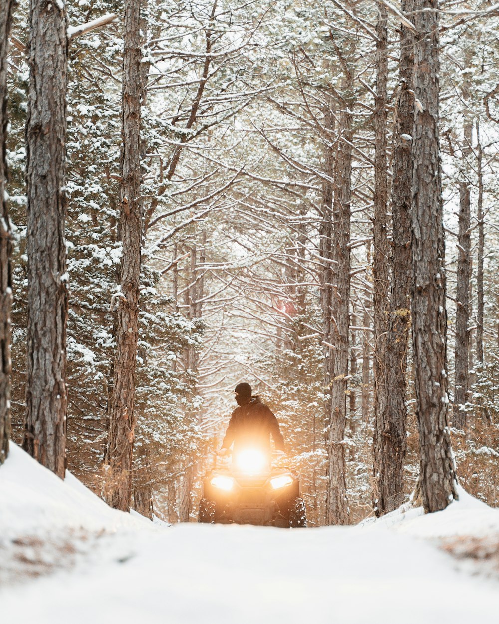 person in black jacket standing on snow covered ground near bare trees during daytime