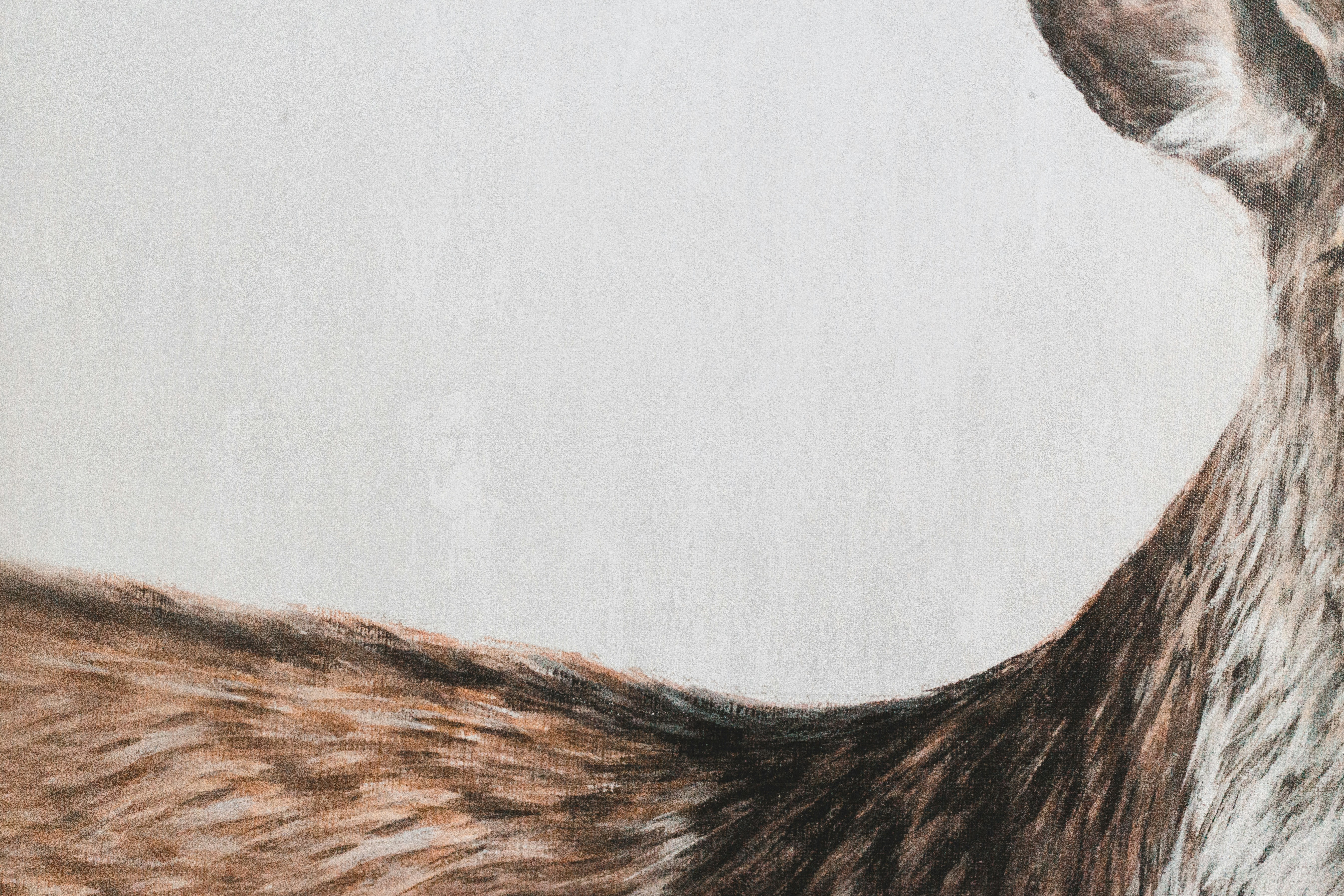 Otter Tail Corporation Announces Third Quarter Earnings, Increases Annual Earnings Guidance and Uplifts Long-Term Financial Targets