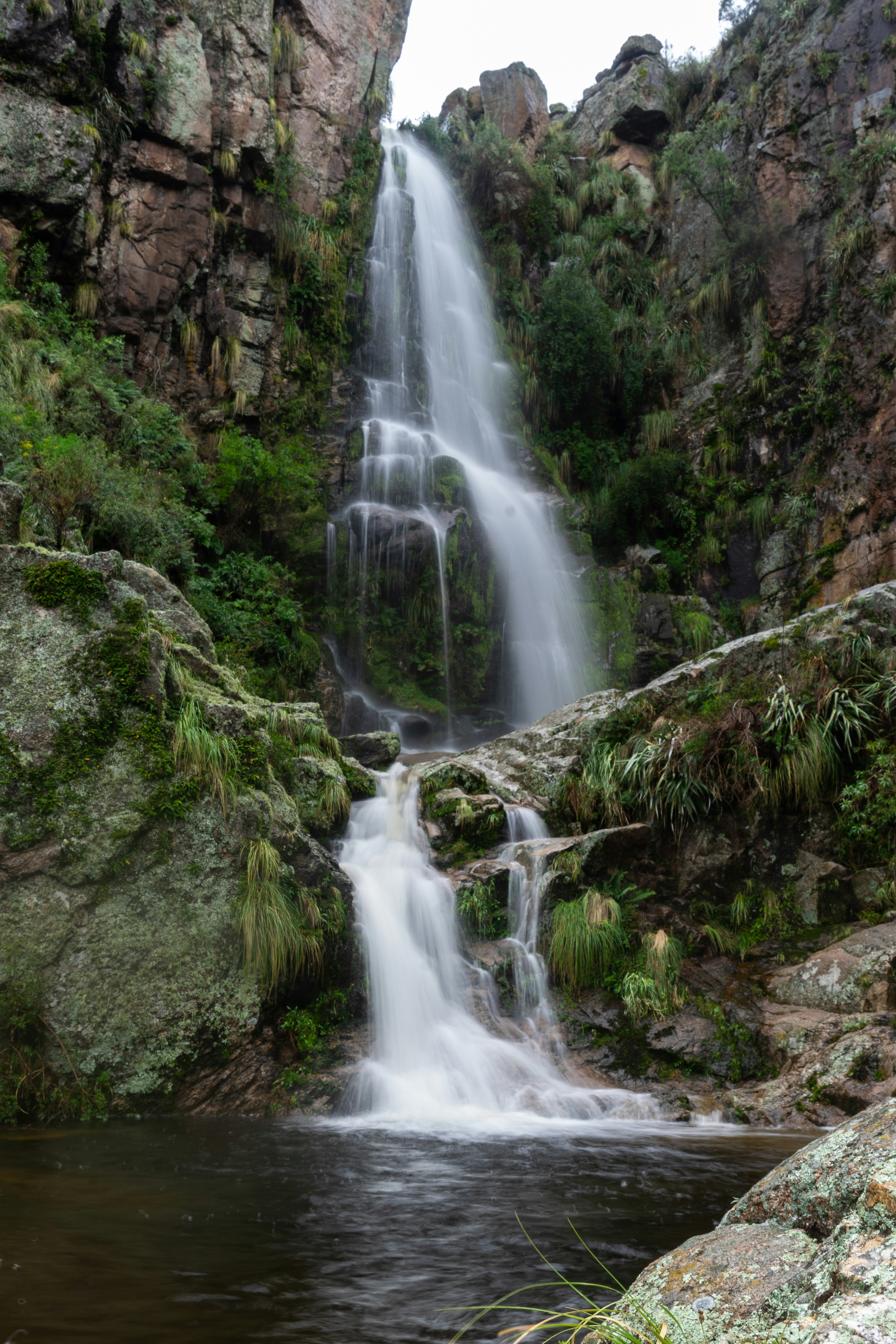 Photo by nicoruiz01981