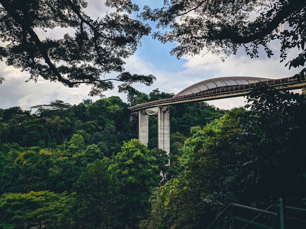 white concrete bridge over green trees during daytime